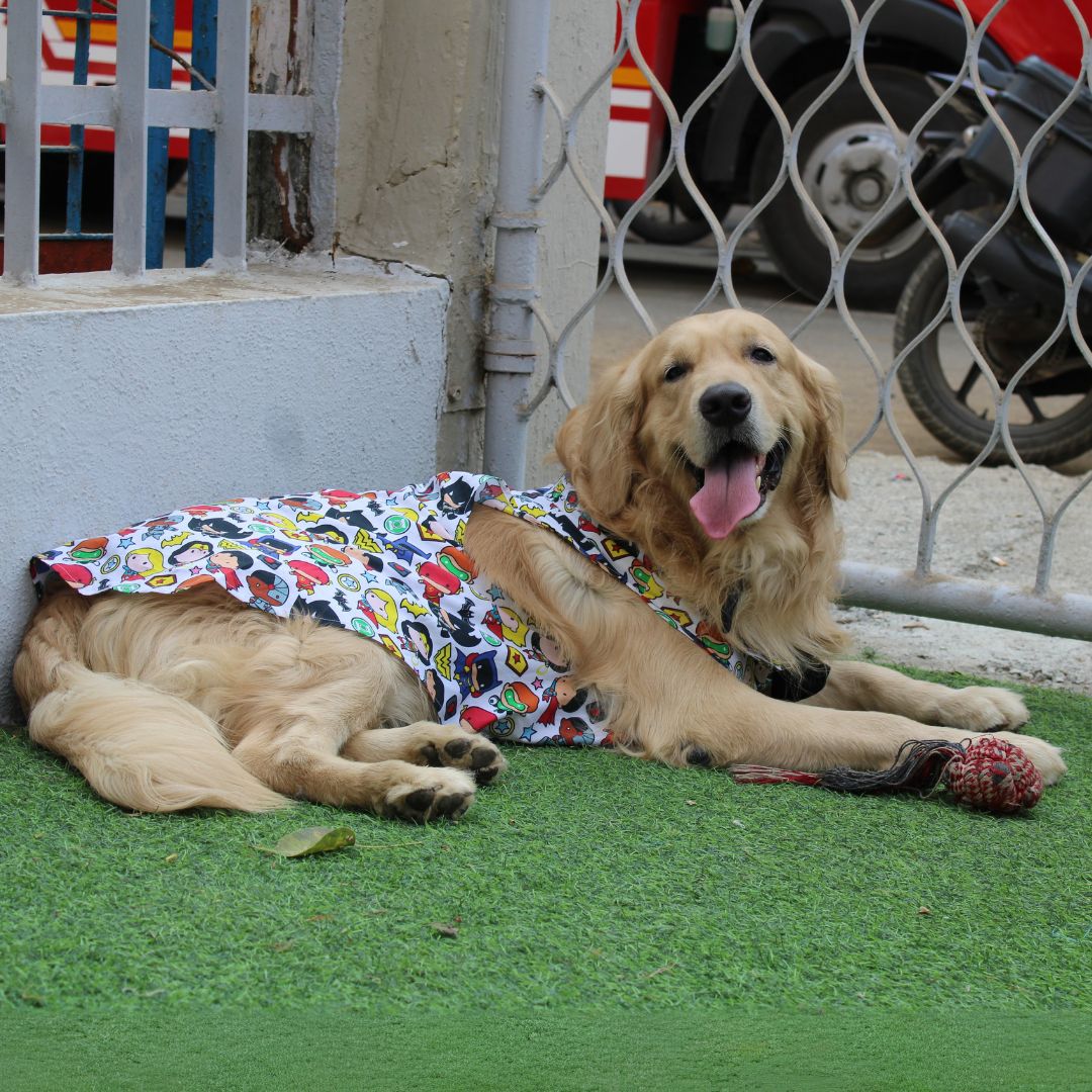 Avengers Shirt (Dog)