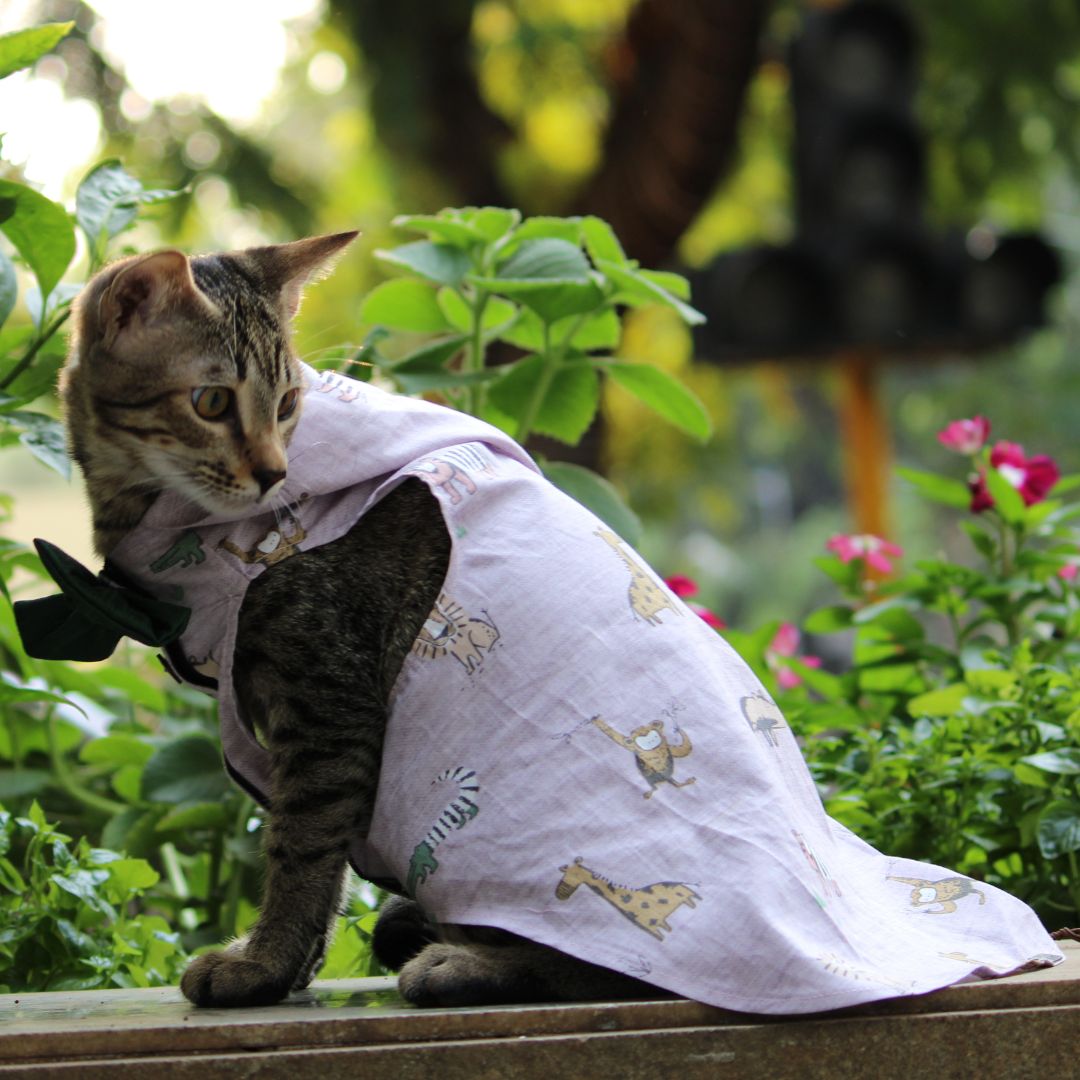 Jungle Shirt (Cat)