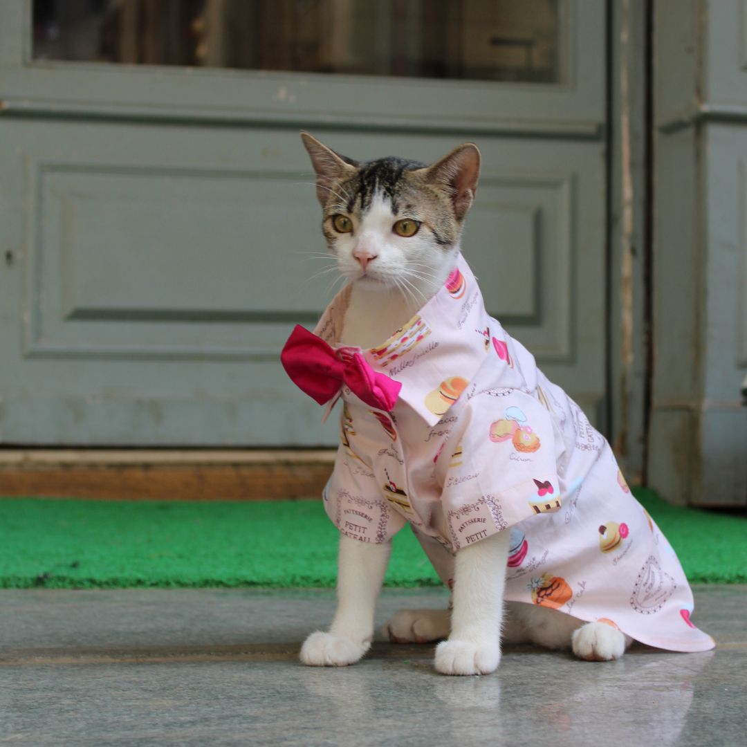 Macroon Shirt (Cat)