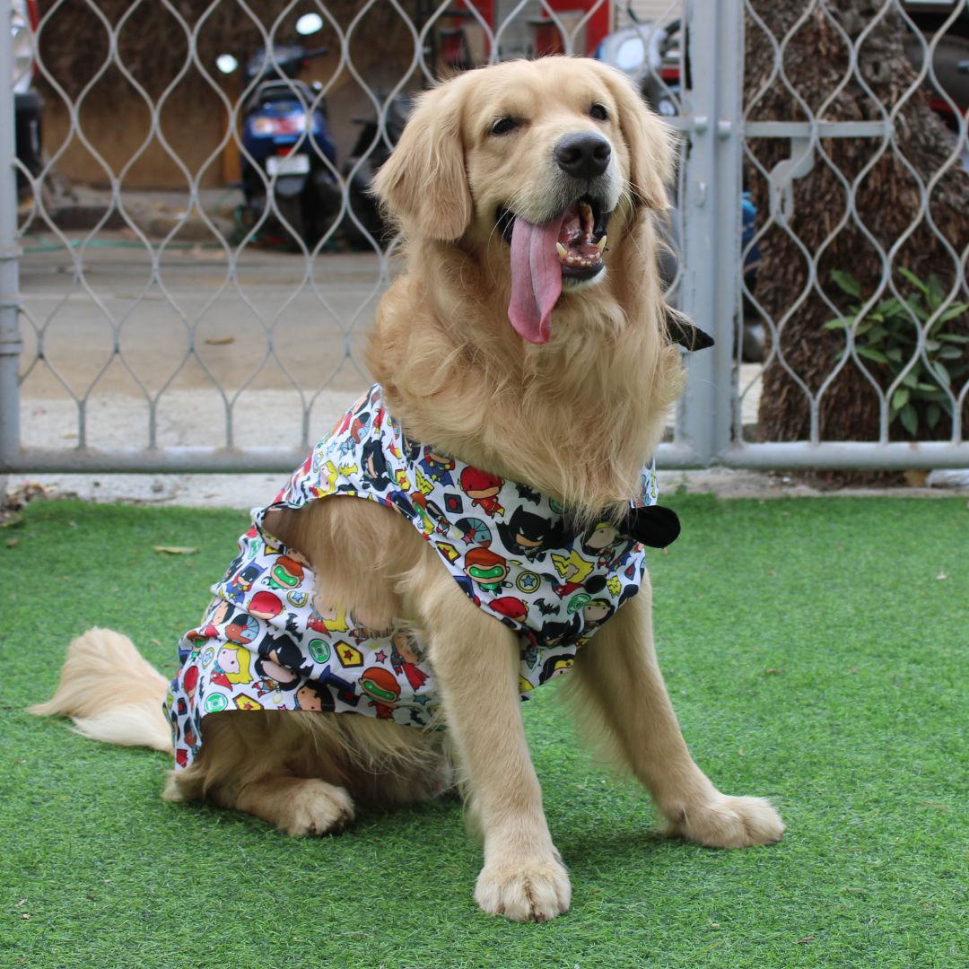 Avengers Shirt (Dog)