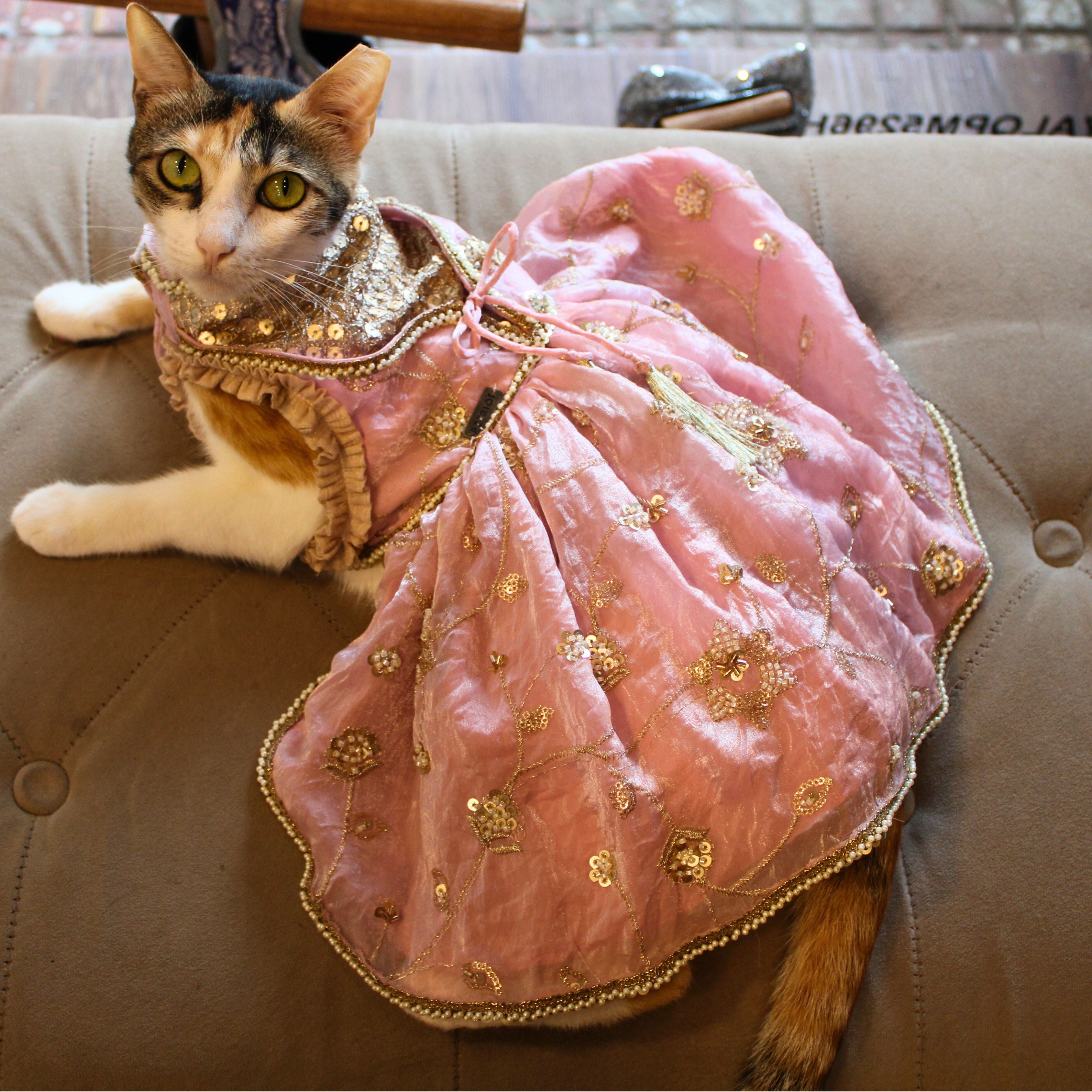 Pink Anarkali (Cat)