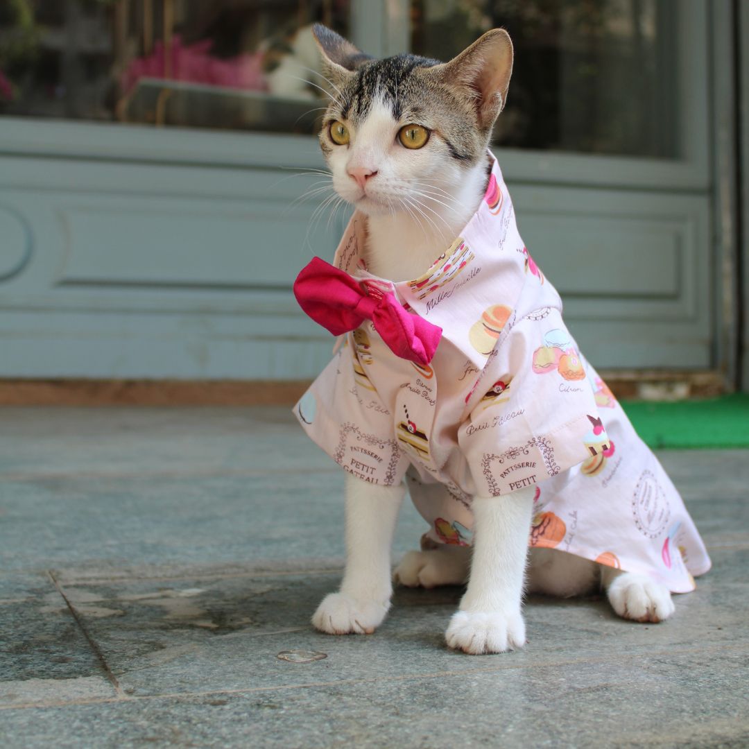 Macroon Shirt (Cat)