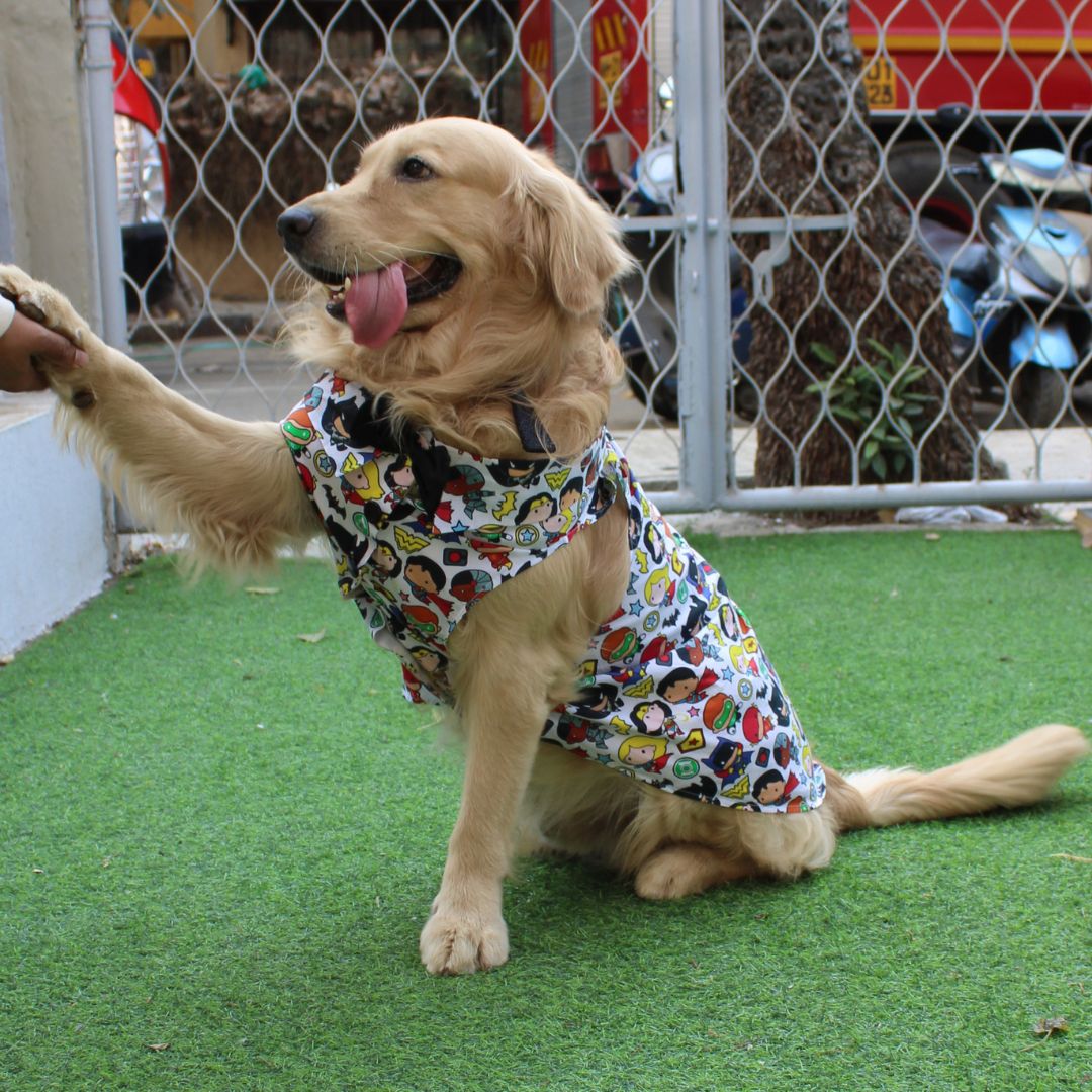 Avengers Shirt (Dog)