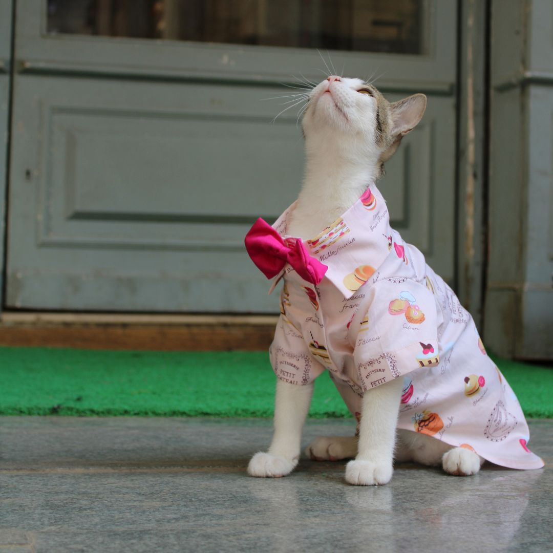 Macroon Shirt (Cat)