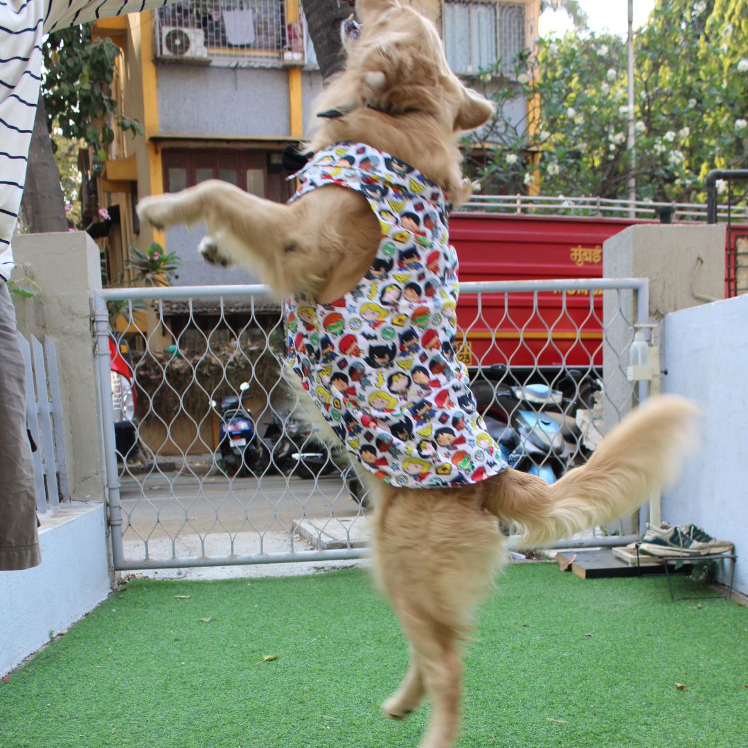 Avengers Shirt (Dog)