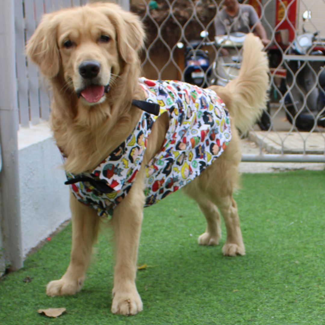 Avengers Shirt (Dog)