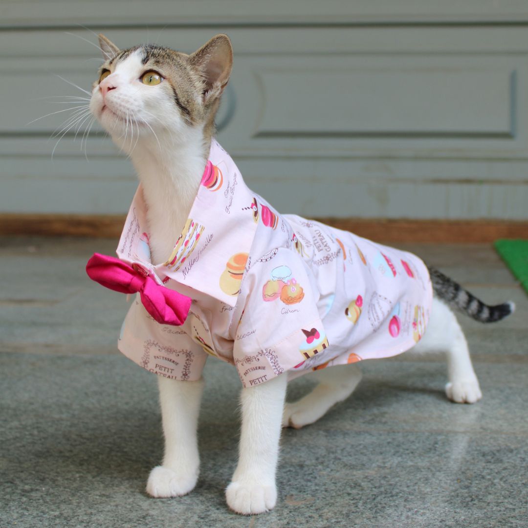 Macroon Shirt (Cat)