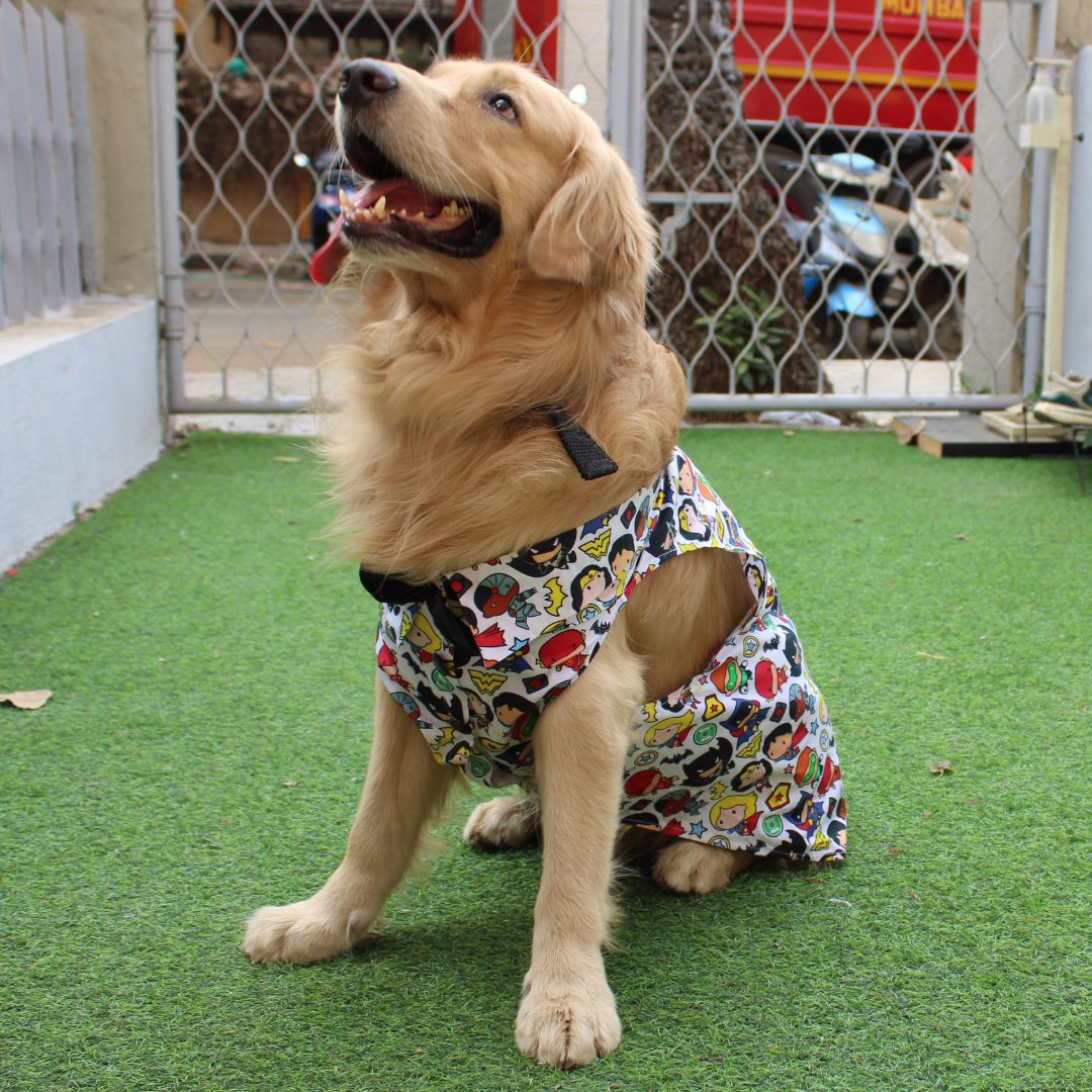 Avengers Shirt (Dog)