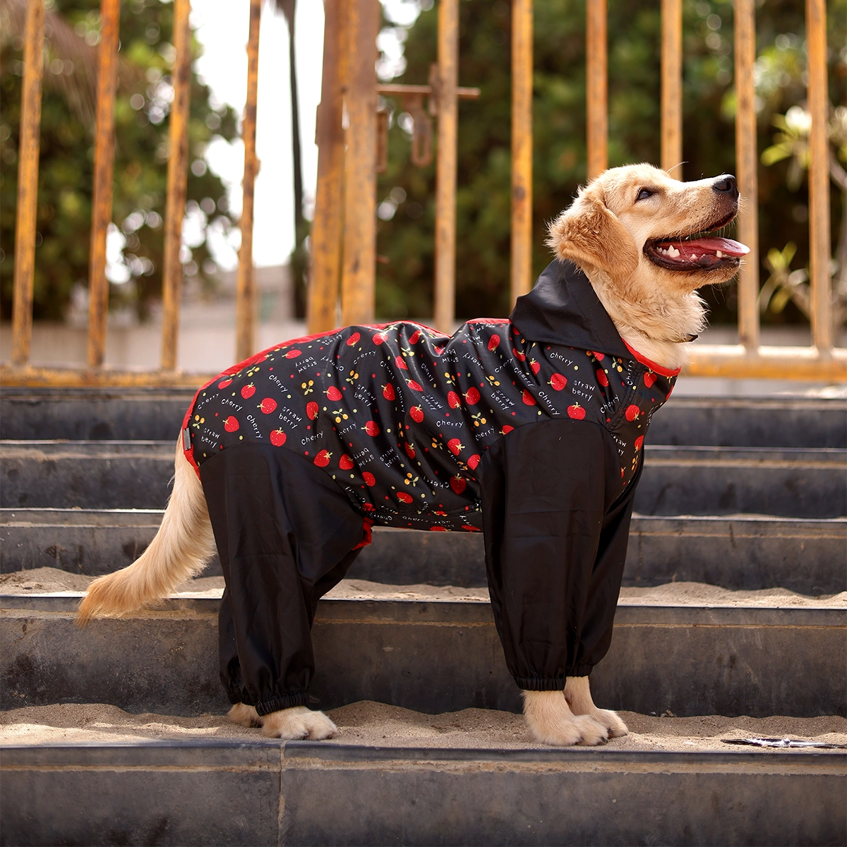 Berry Rainromper(Dog)
