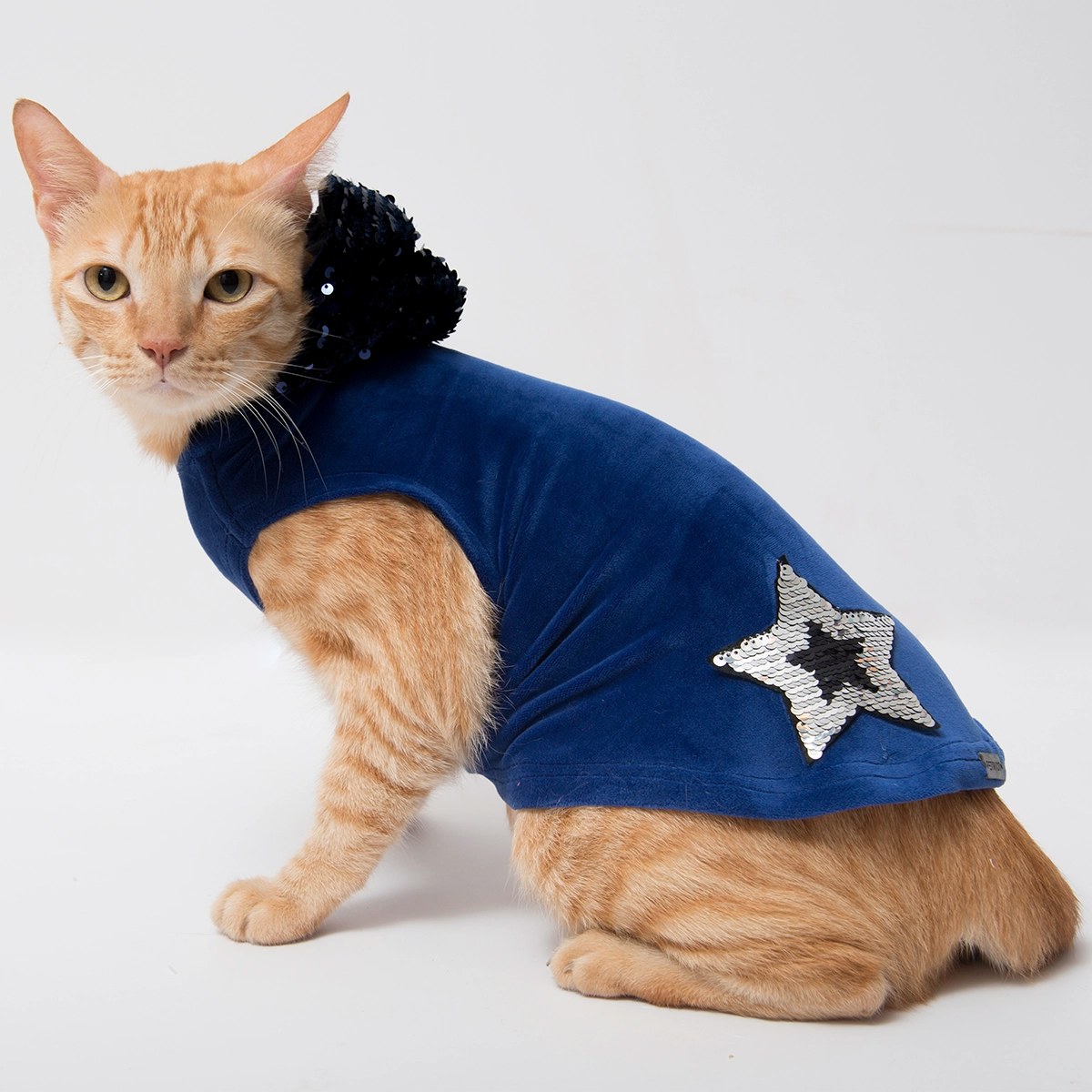 Street Creed Navy Blue