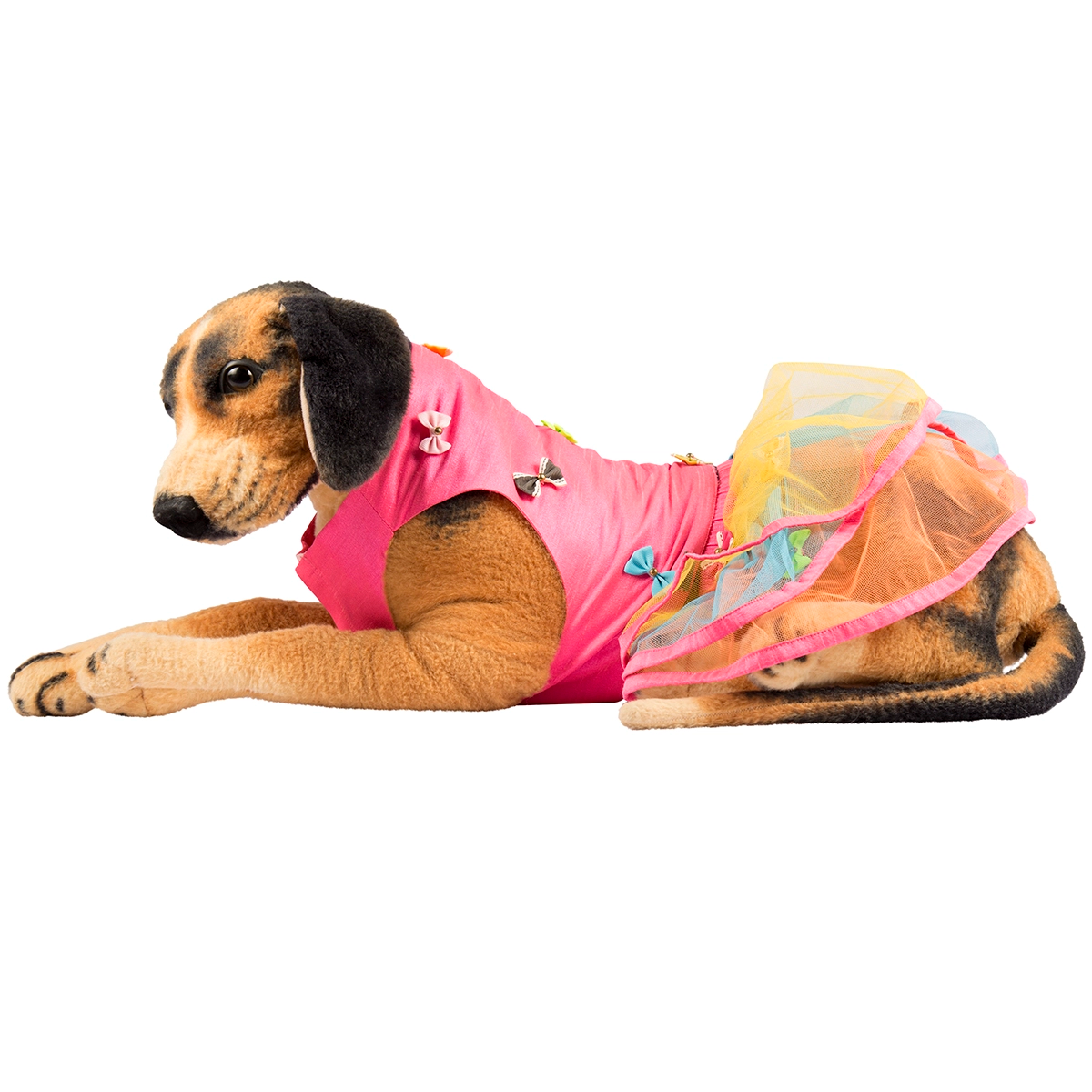 Tri Bow Lengha (Dog)