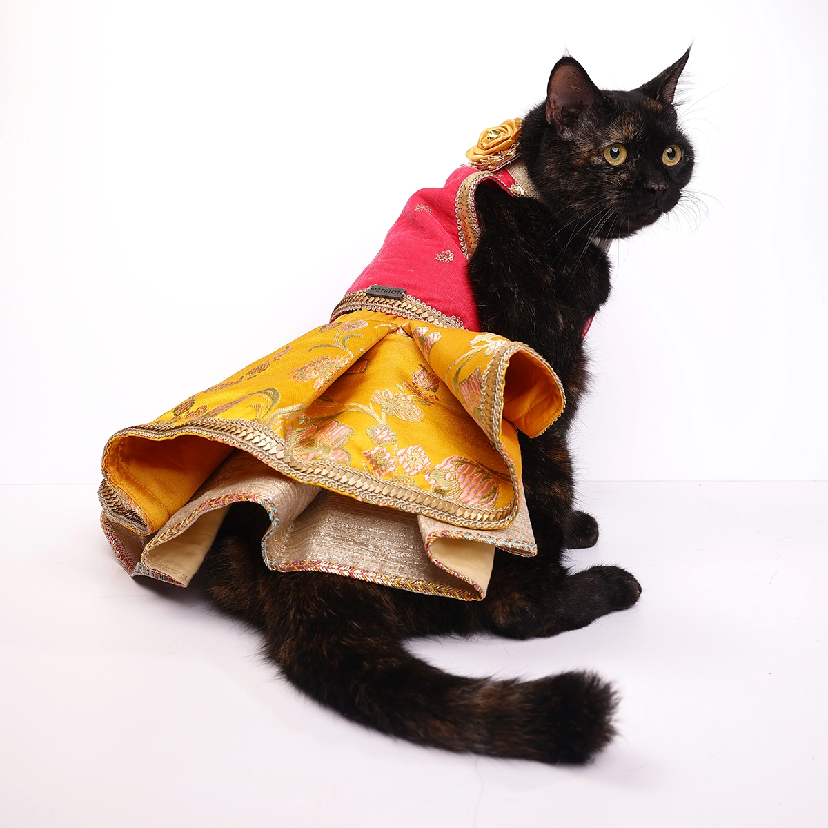 Velvet Jamyawar (Cat)