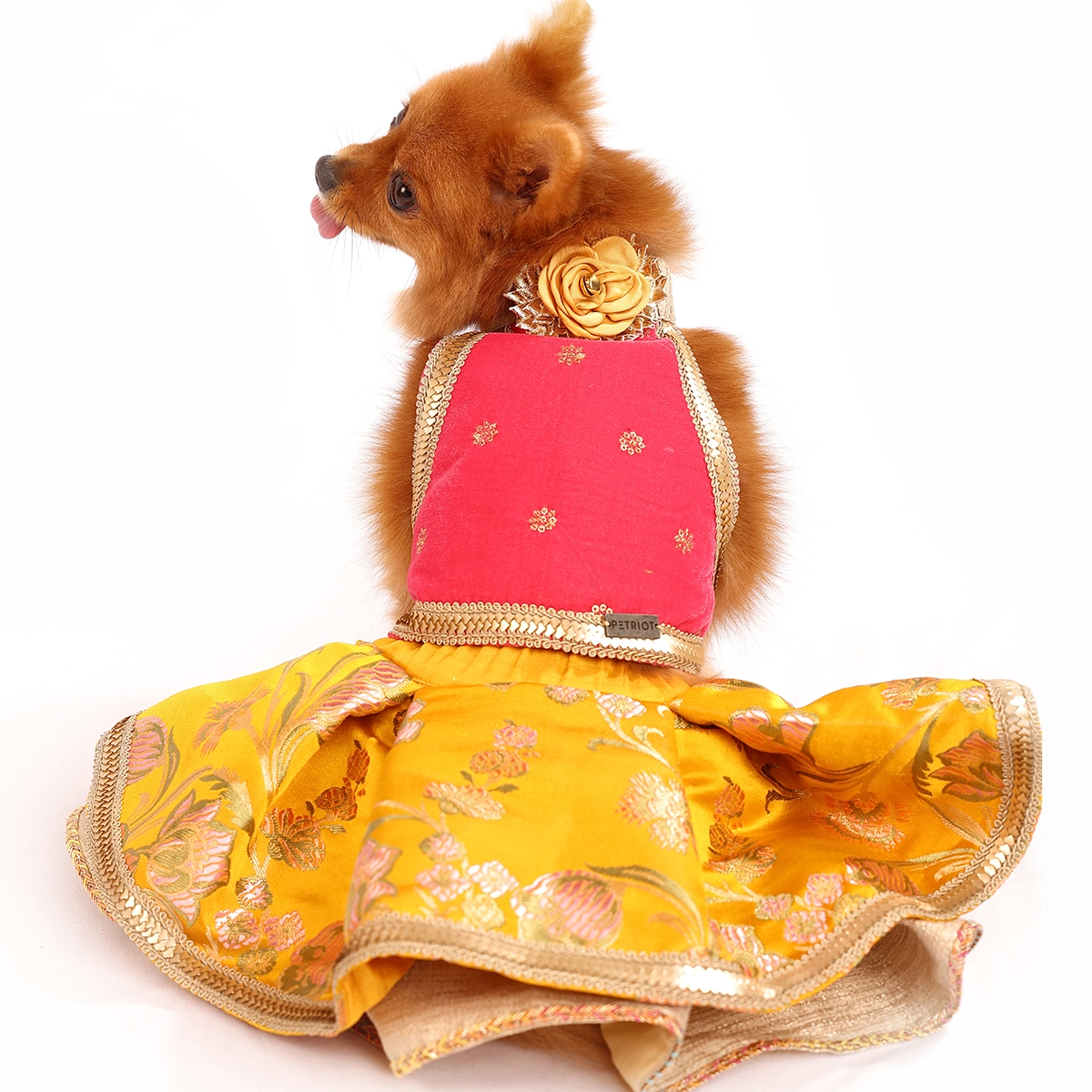 Velvet Jamyawar (Dog)