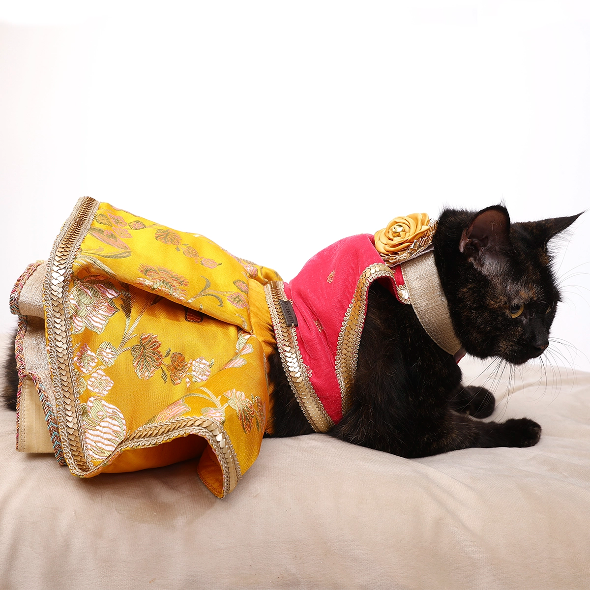 Velvet Jamyawar (Cat)