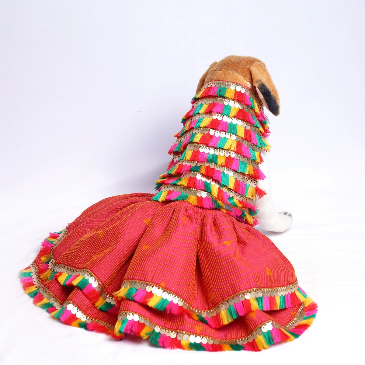 All About Dandiya(Dog)