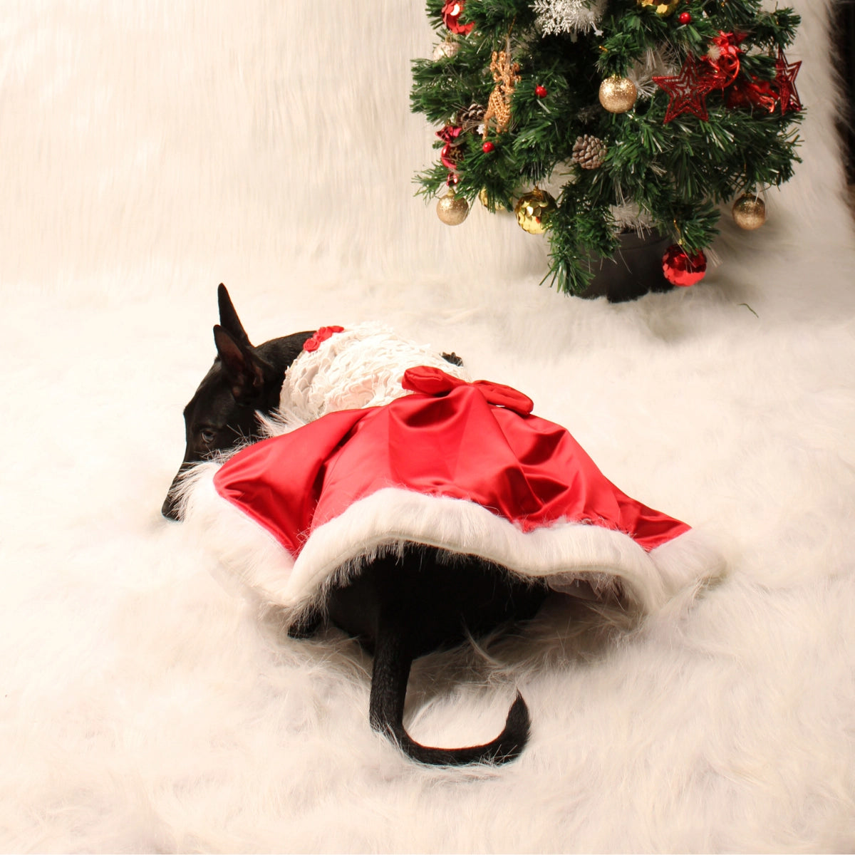 Applique Sateen (Dog)