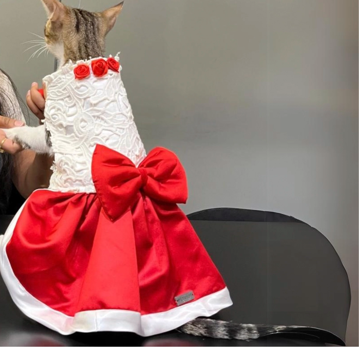 Applique Sateen (Cat)