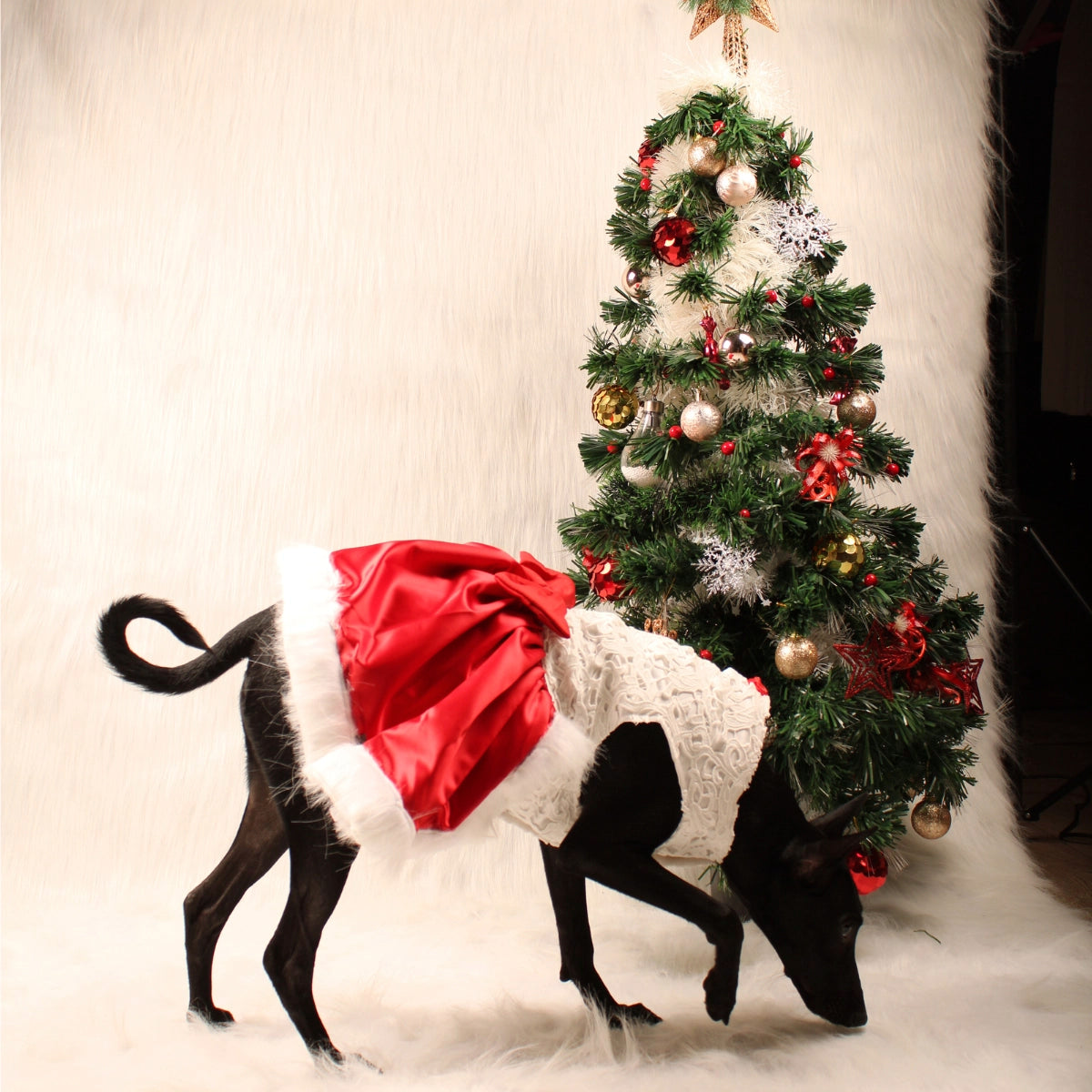 Applique Sateen (Dog)