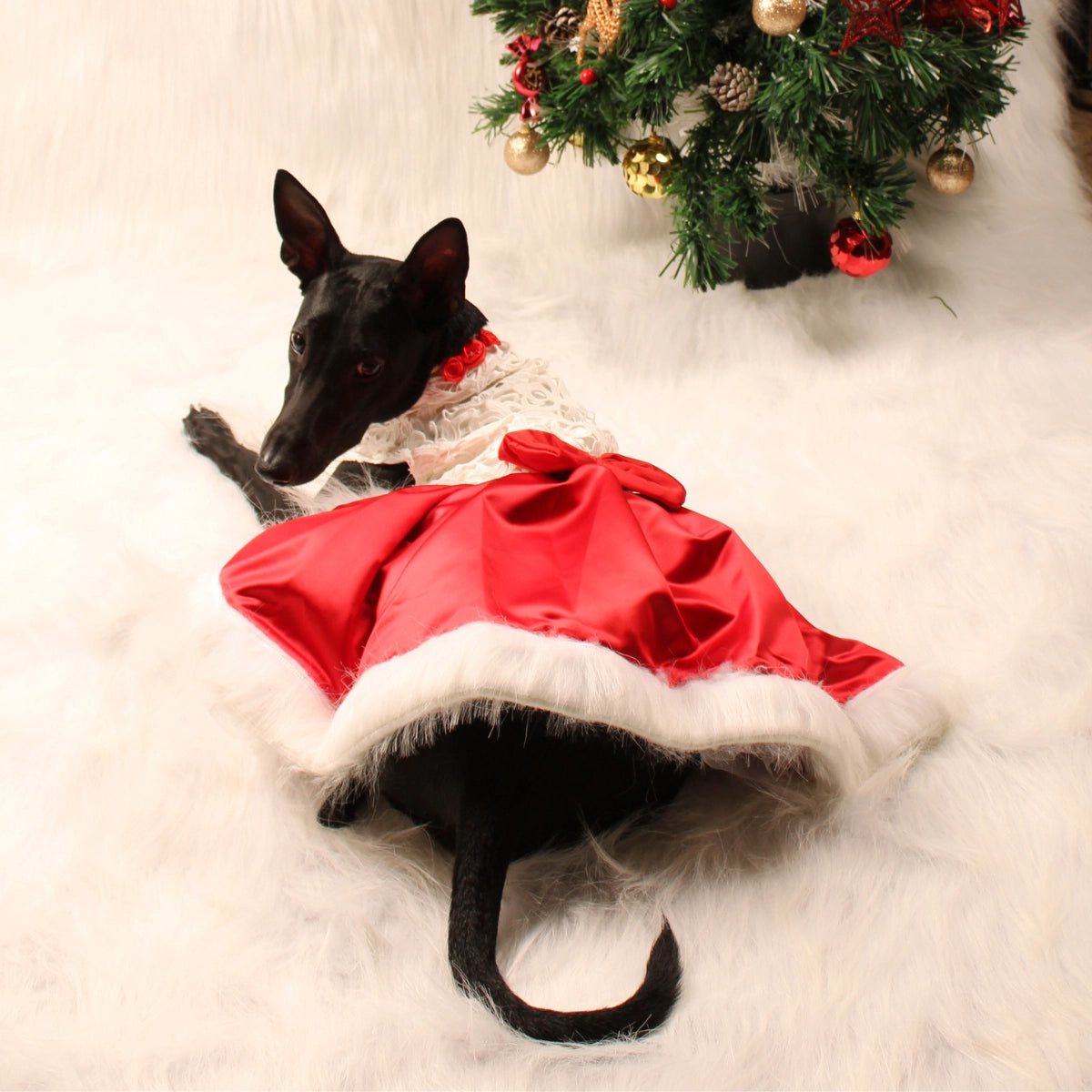 Applique Sateen (Dog)