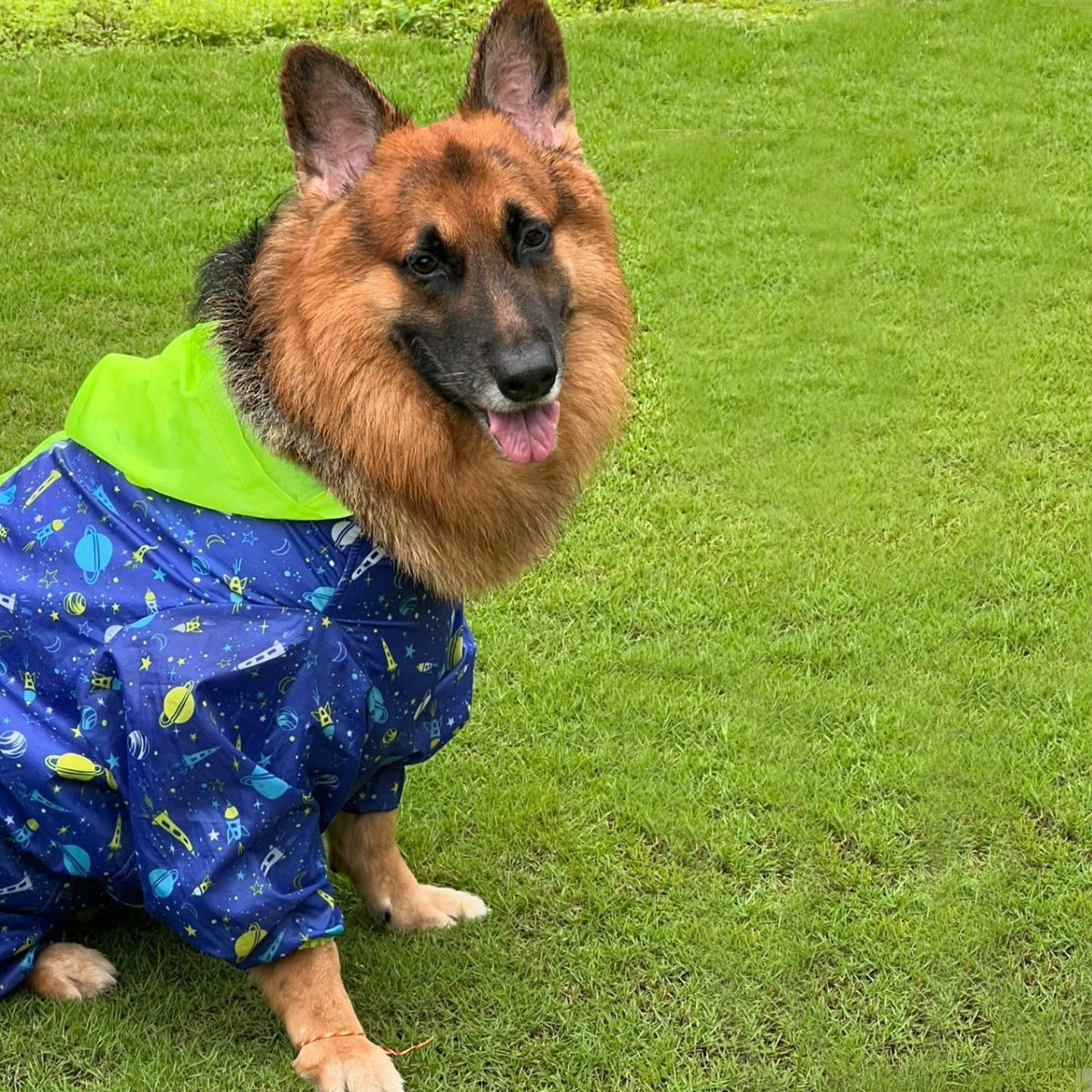 Astronaut Rainromper(Dog)