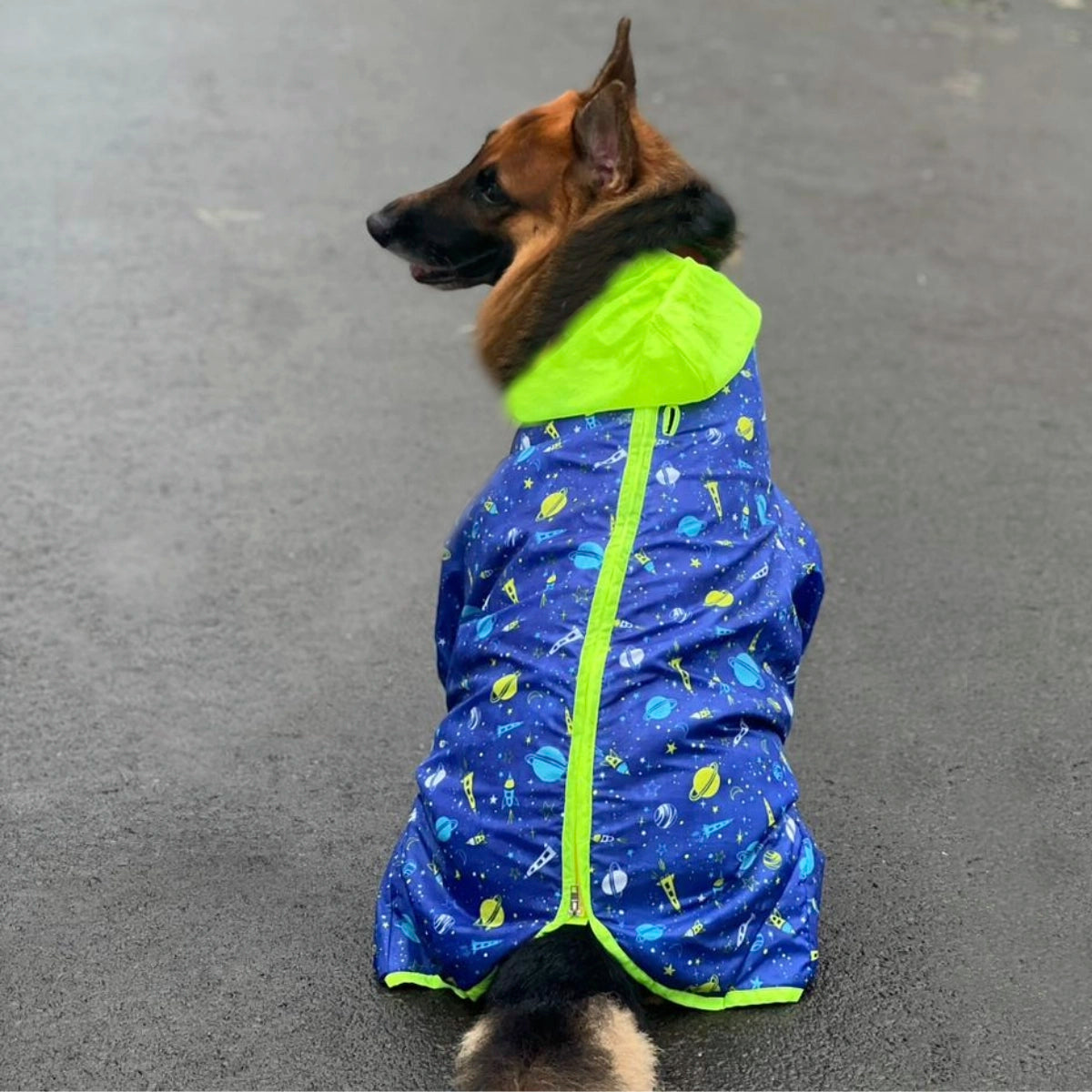 Astronaut Rainromper(Dog)