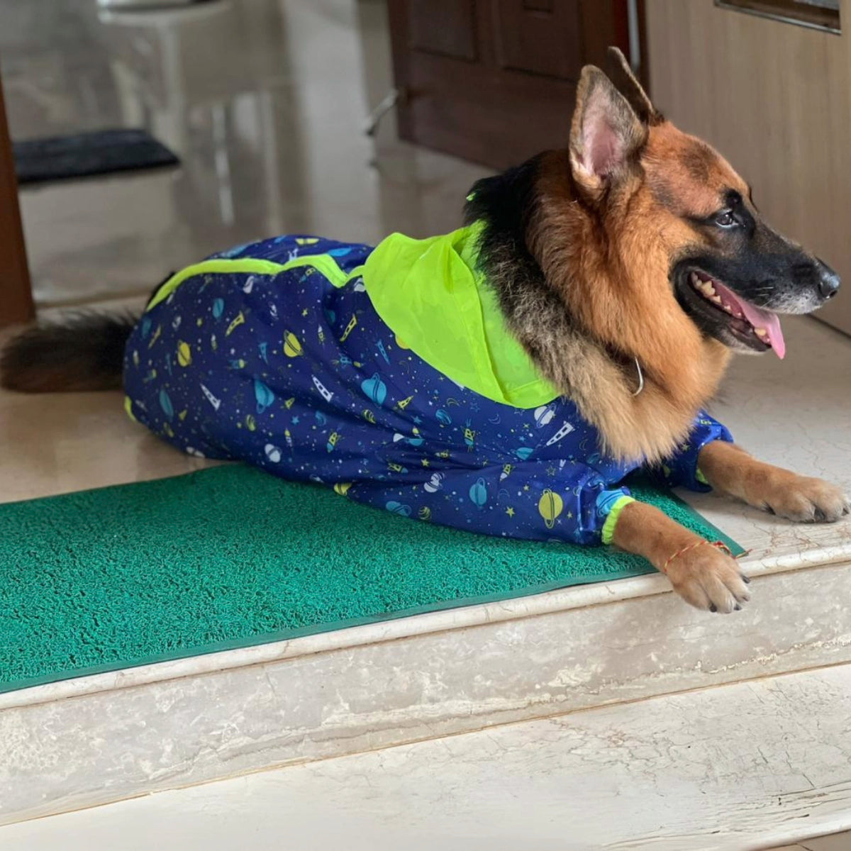 Astronaut Rainromper(Dog)