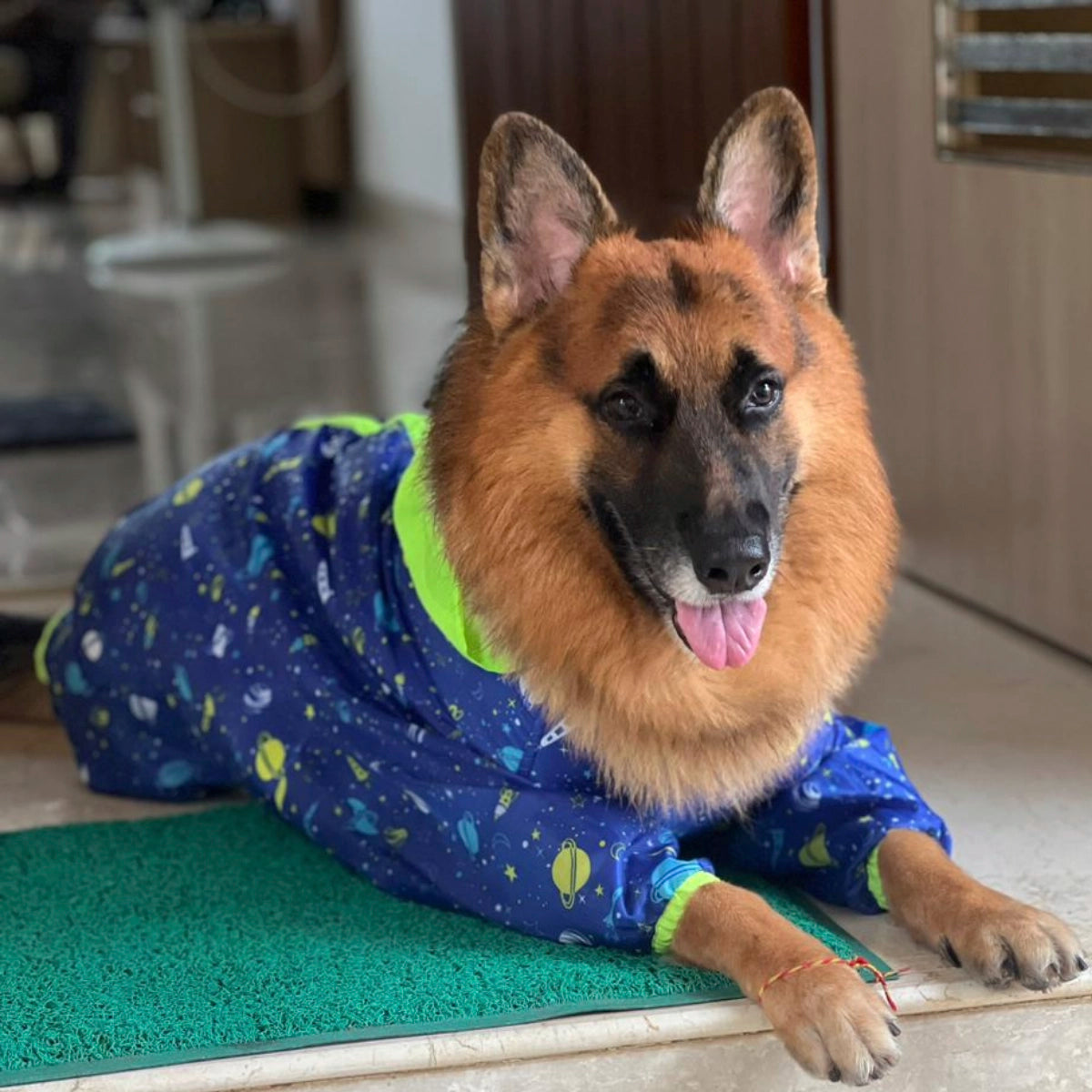 Astronaut Rainromper(Dog)