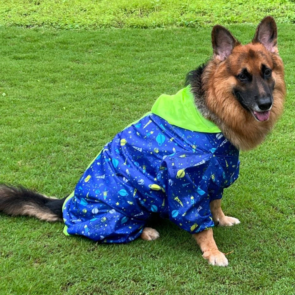 Astronaut Rainromper(Dog)