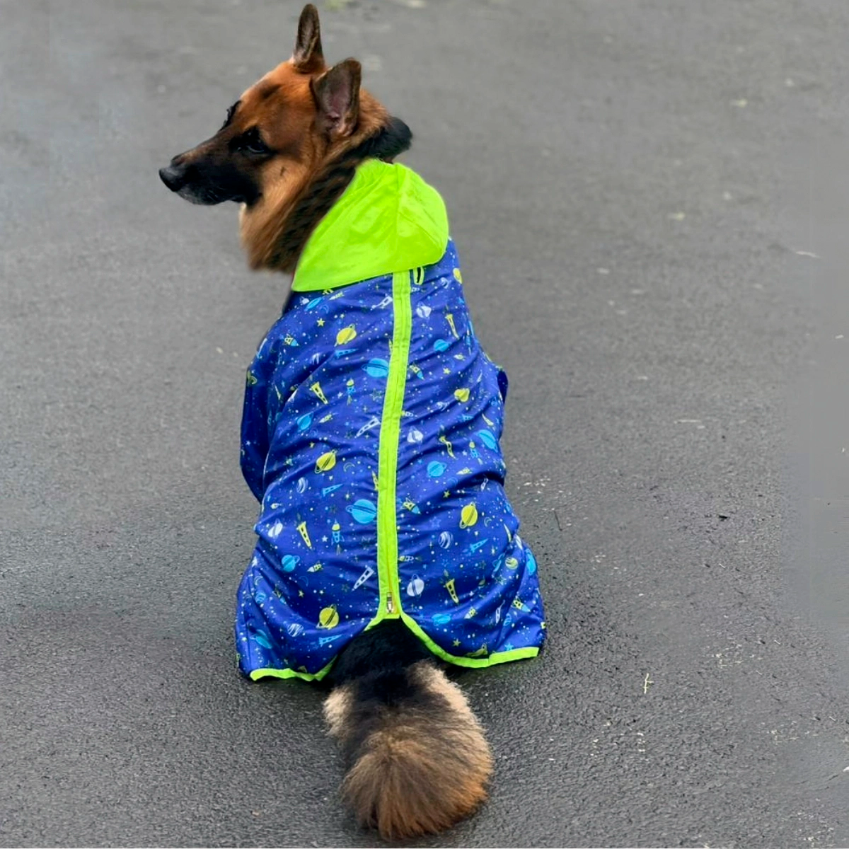 Astronaut Rainromper(Dog)