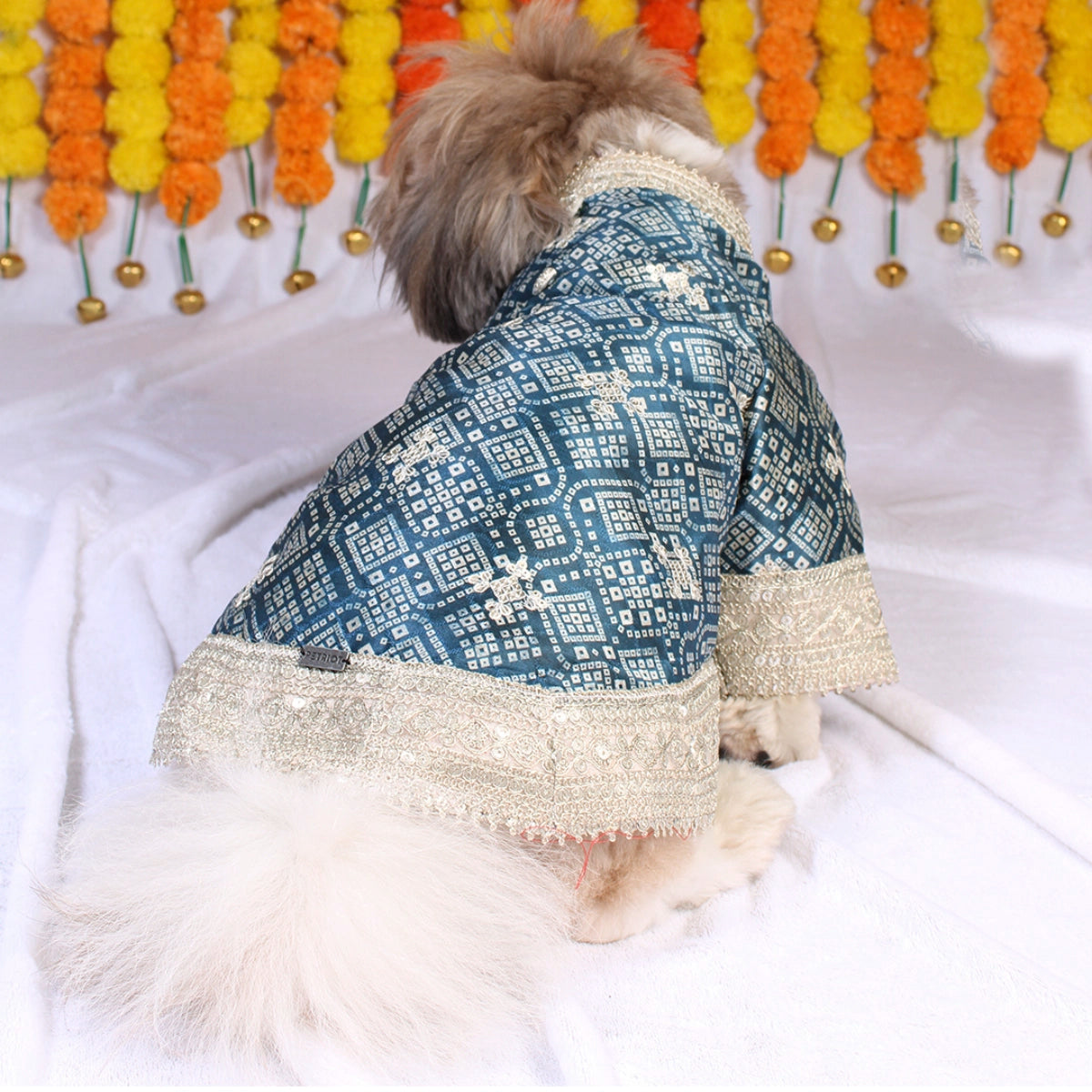 Bandhani Blue(Dog)