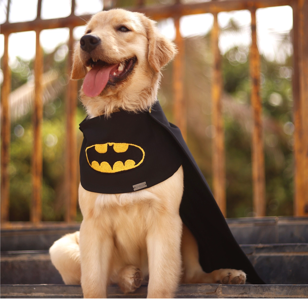 Batman Cape (Dog)