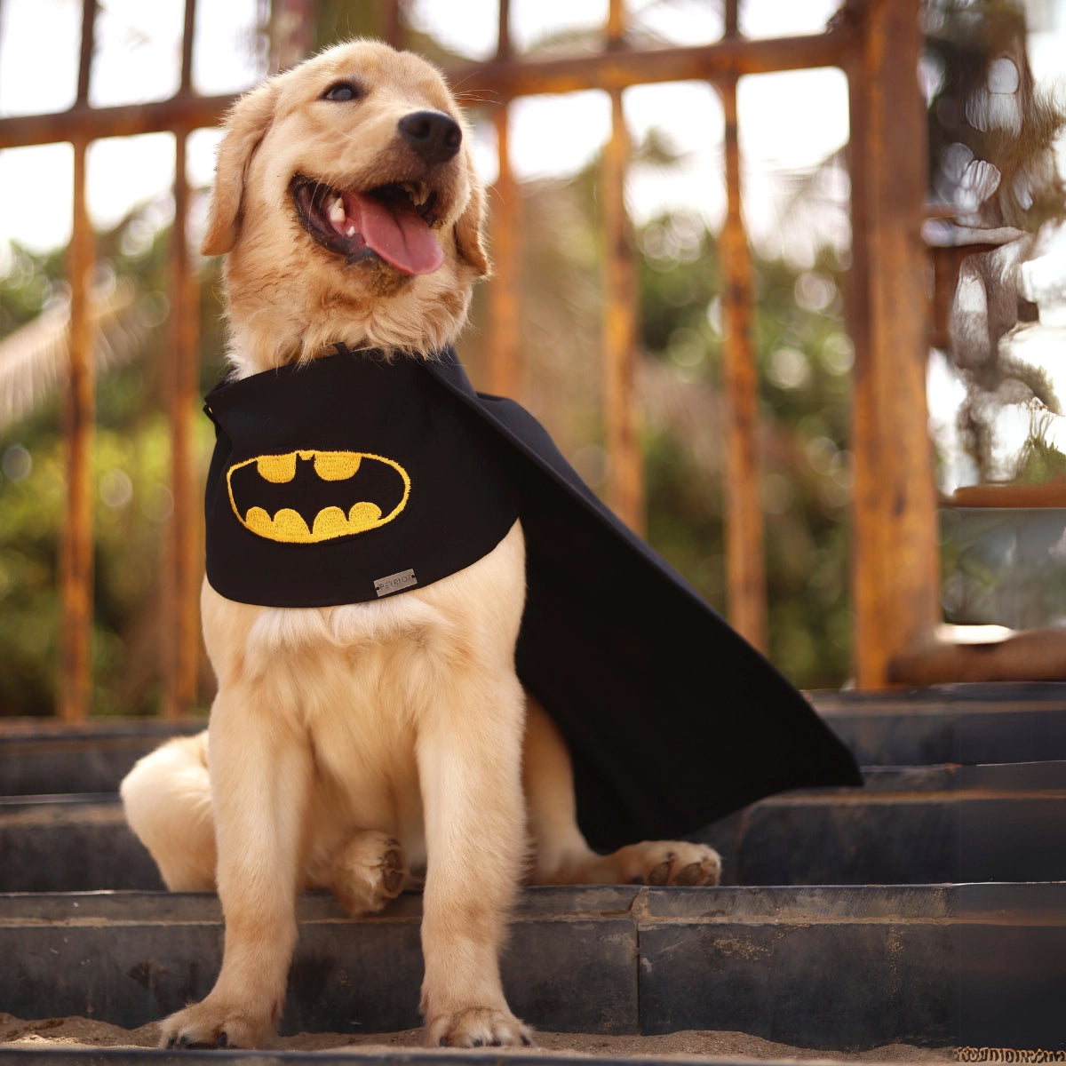 Batman Cape (Dog)