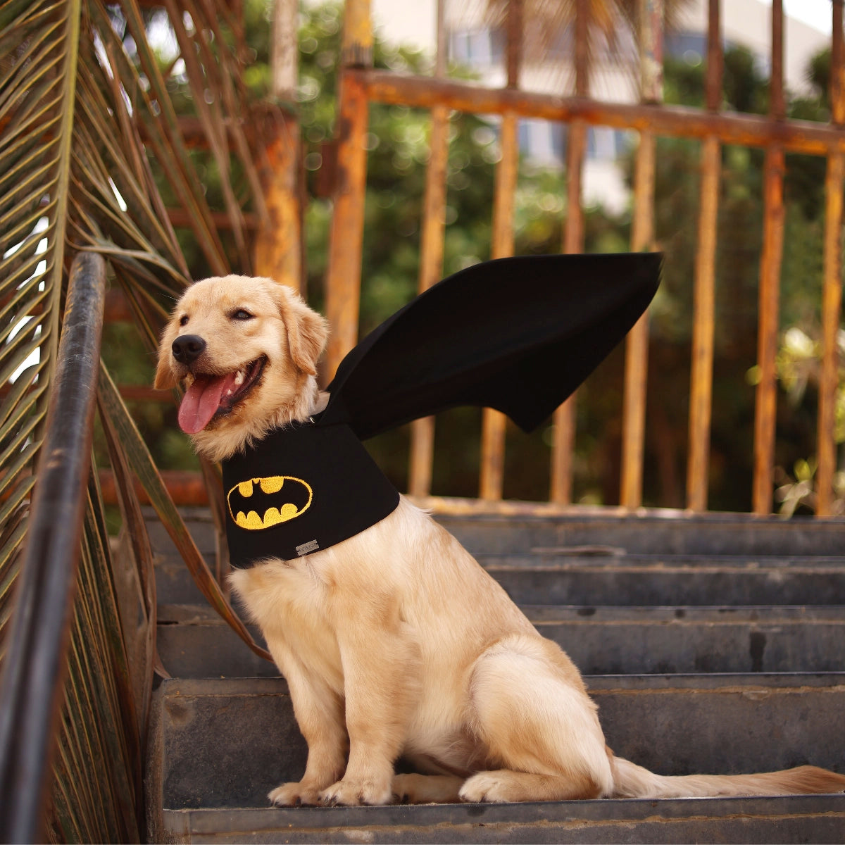 Batman Cape (Dog)