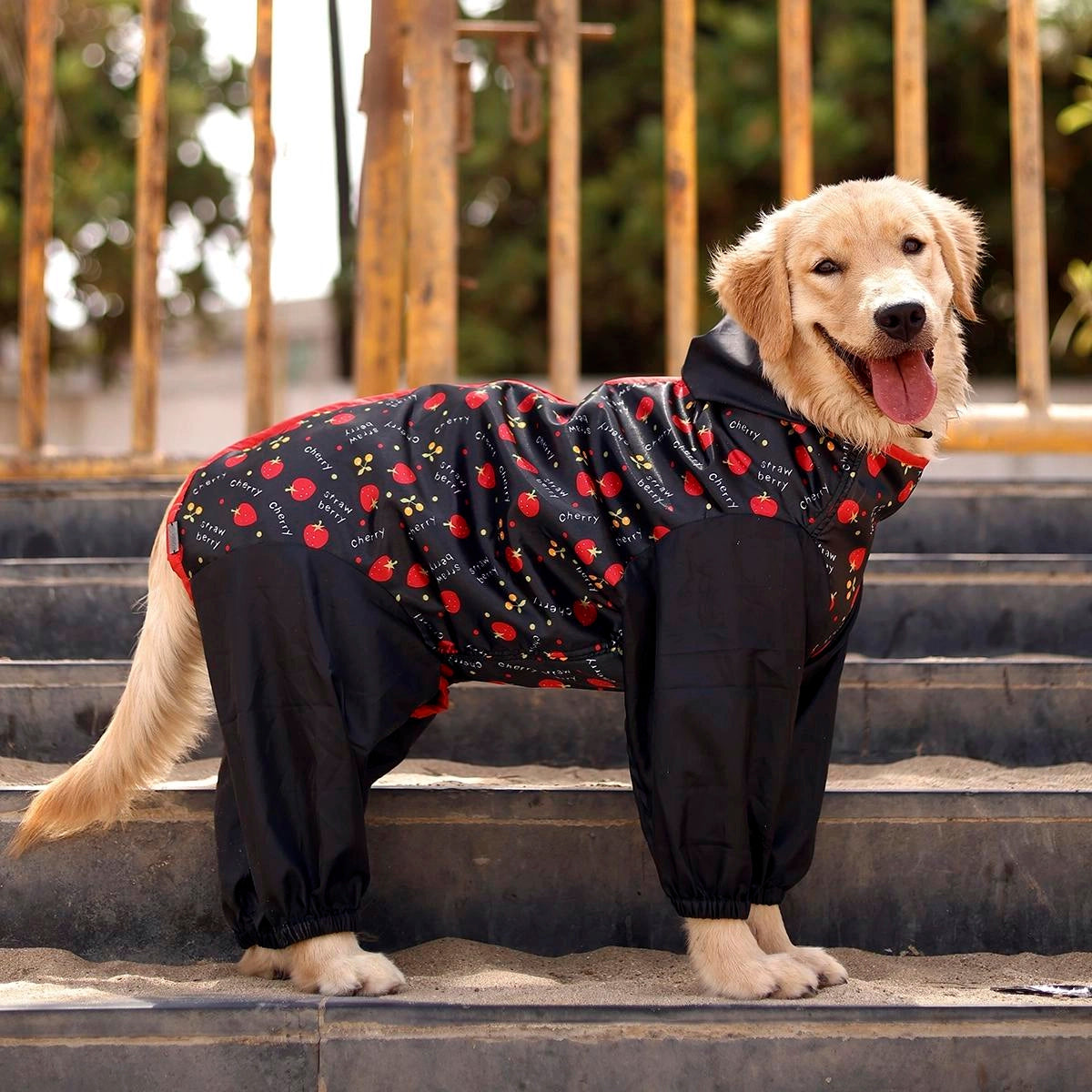 Berry Rainromper(Dog)