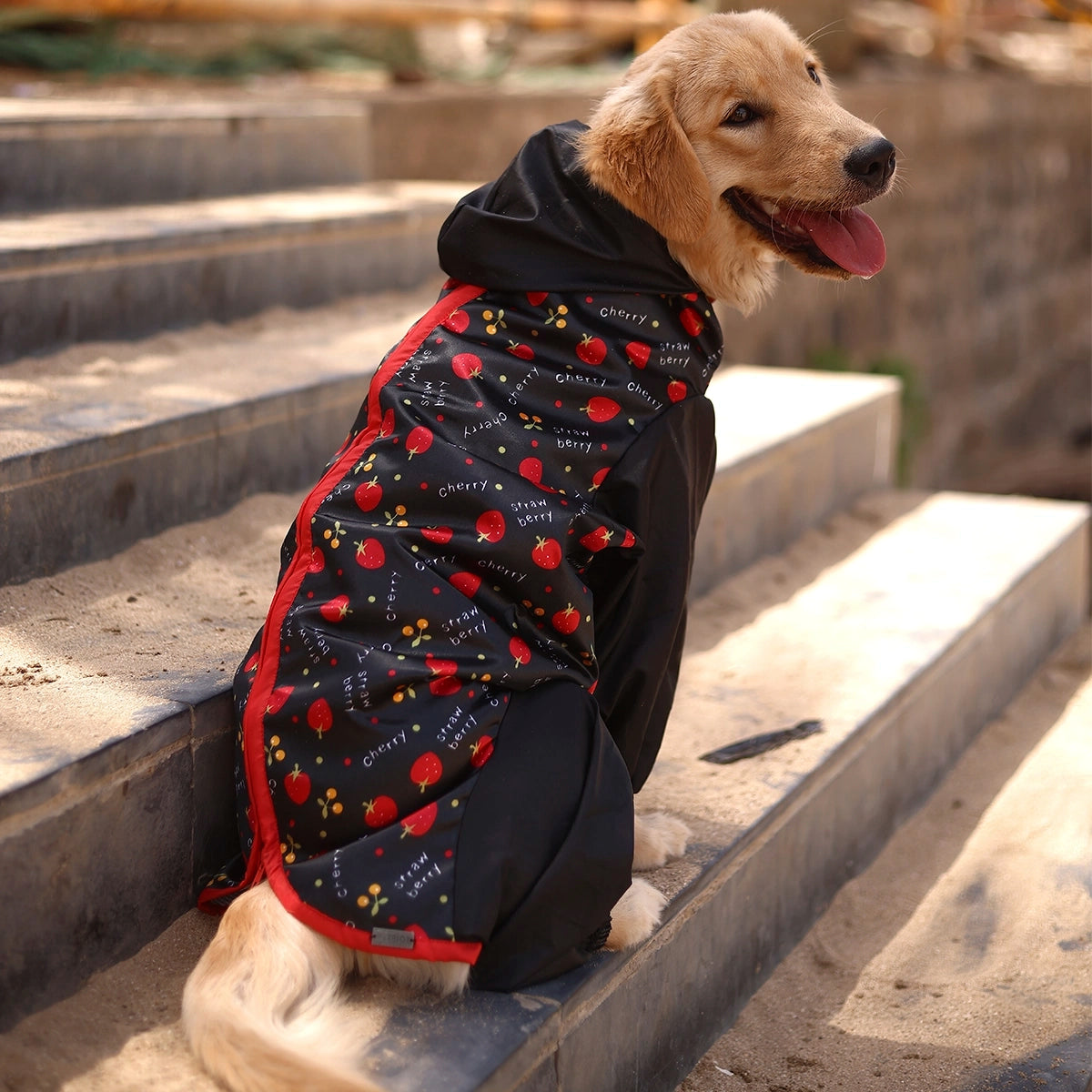 Berry Rainromper(Dog)