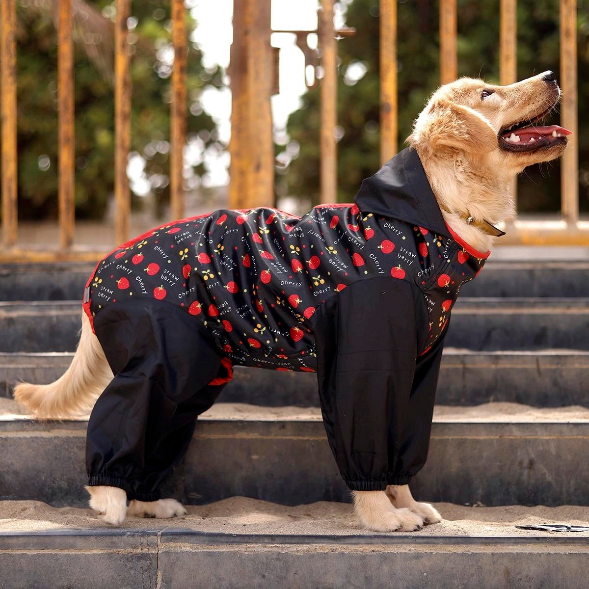 Berry Rainromper(Dog)