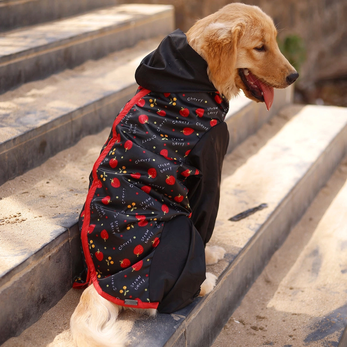 Berry Rainromper(Dog)