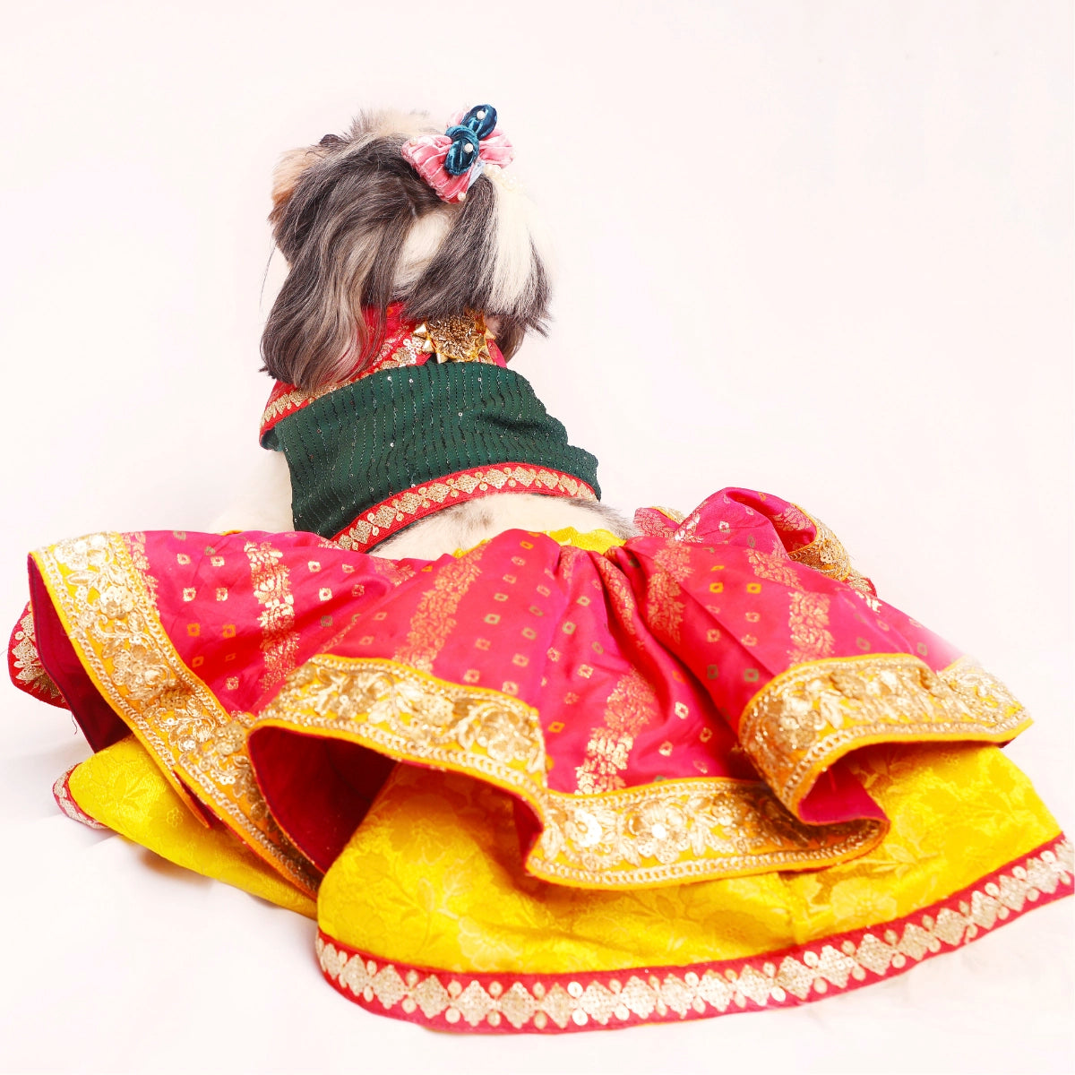 Bandhani Lengha(Dog)