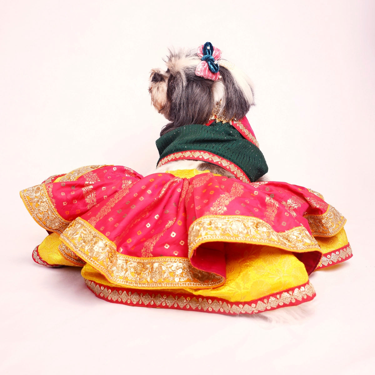 Bandhani Lengha(Dog)