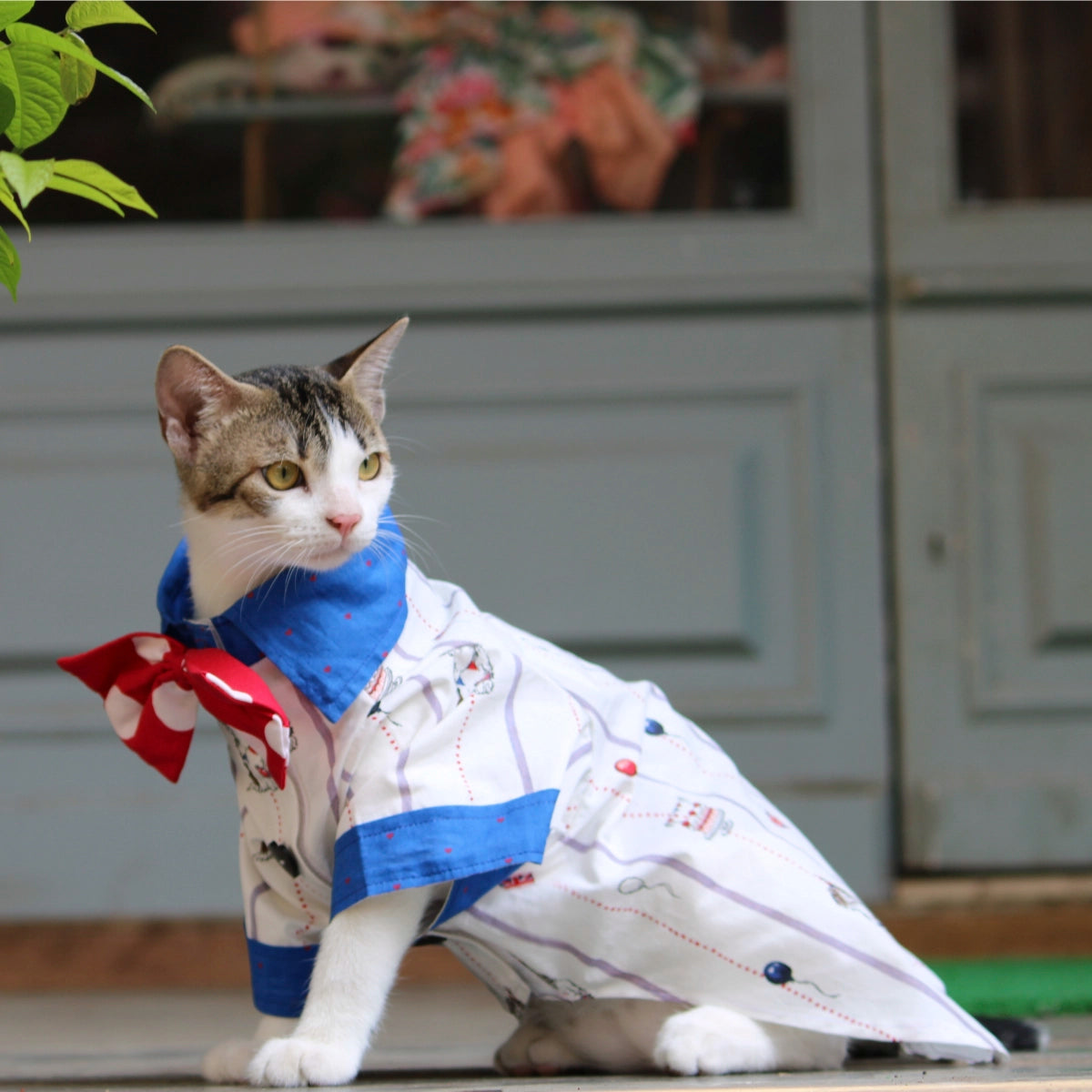 Birthday Shirt (Cat)