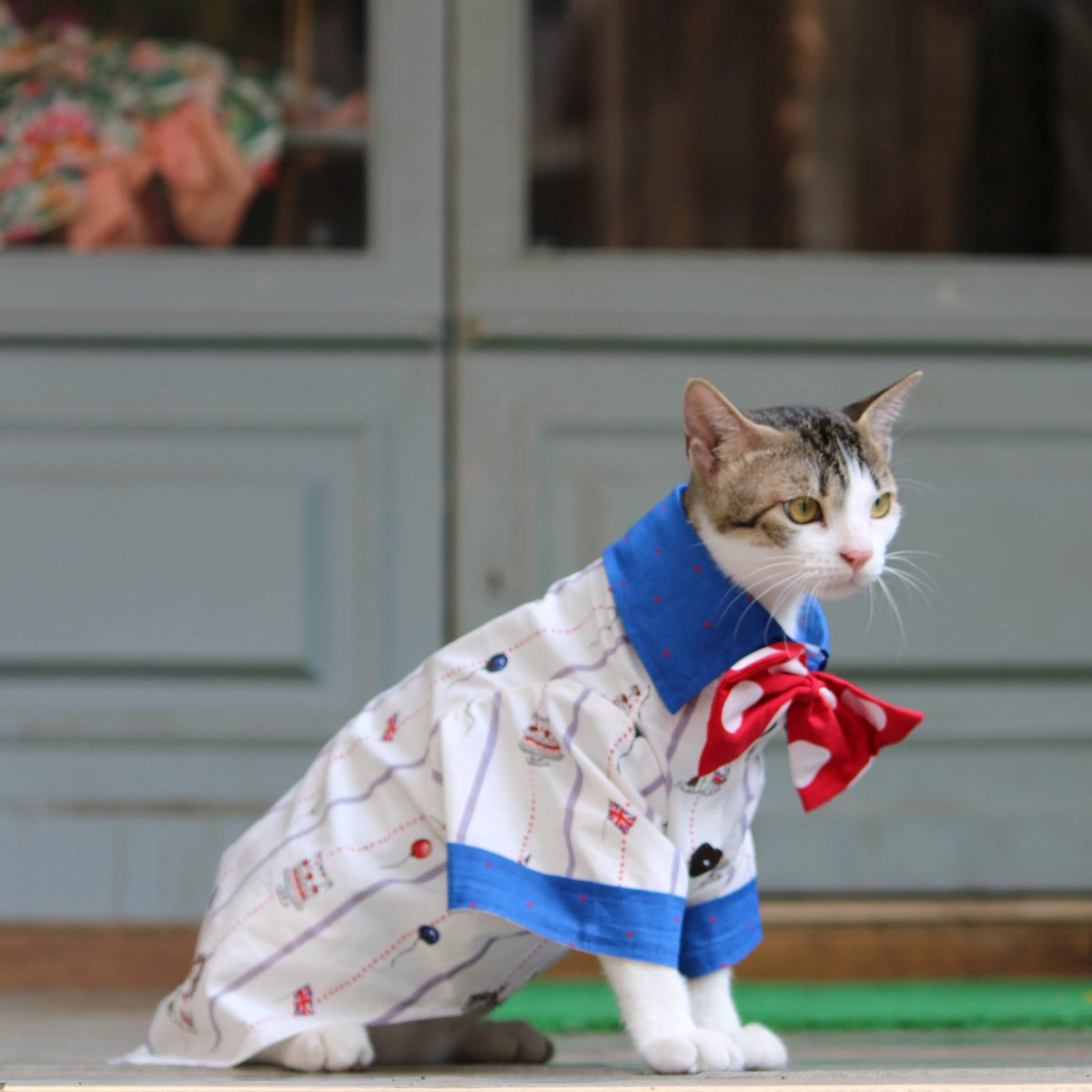 Birthday Shirt (Cat)
