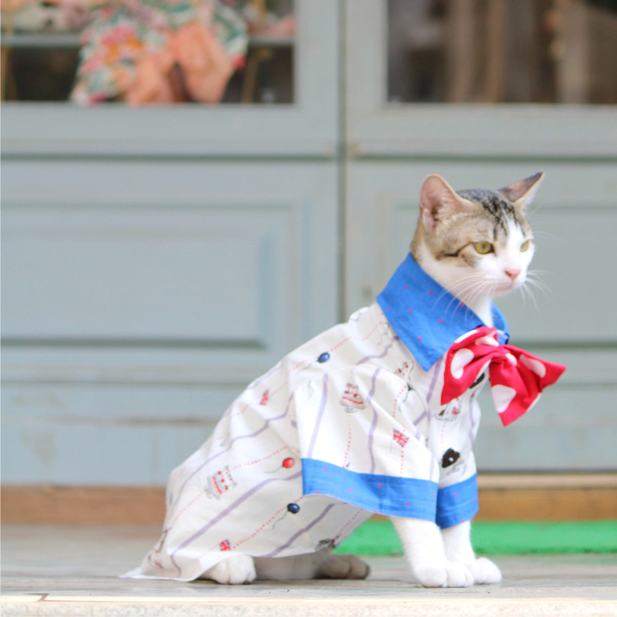 Birthday Shirt (Cat)