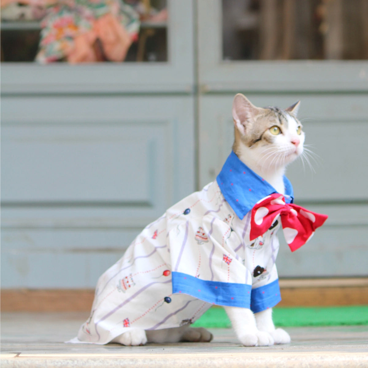 Birthday Shirt (Cat)