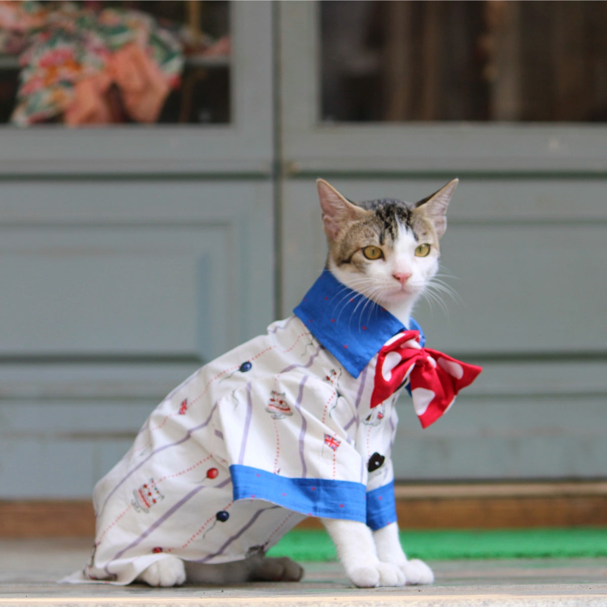 Birthday Shirt (Cat)