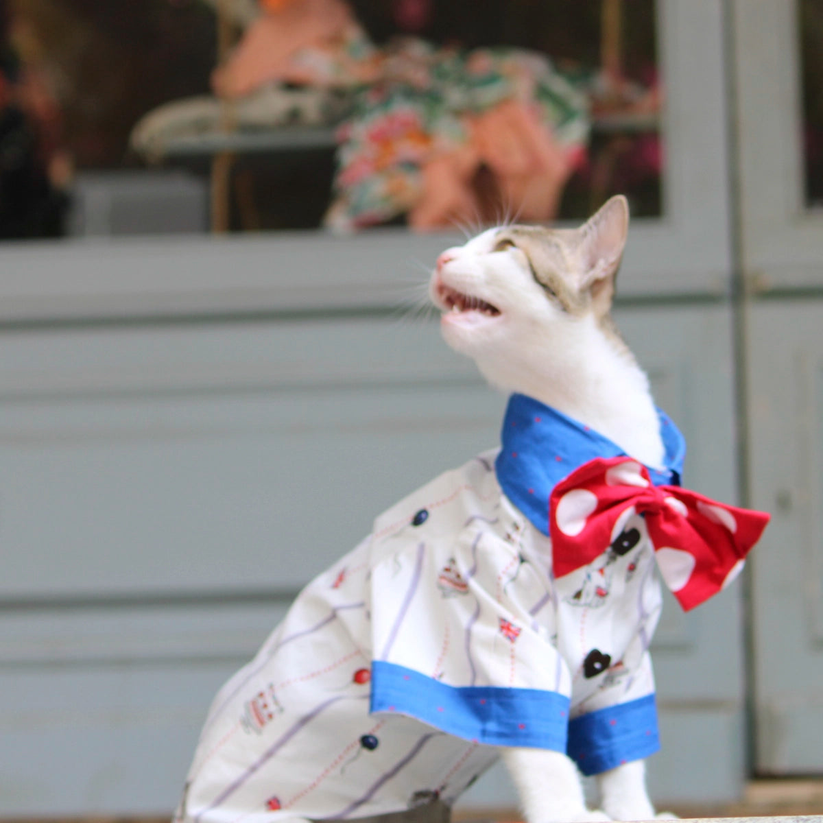 Birthday Shirt (Cat)