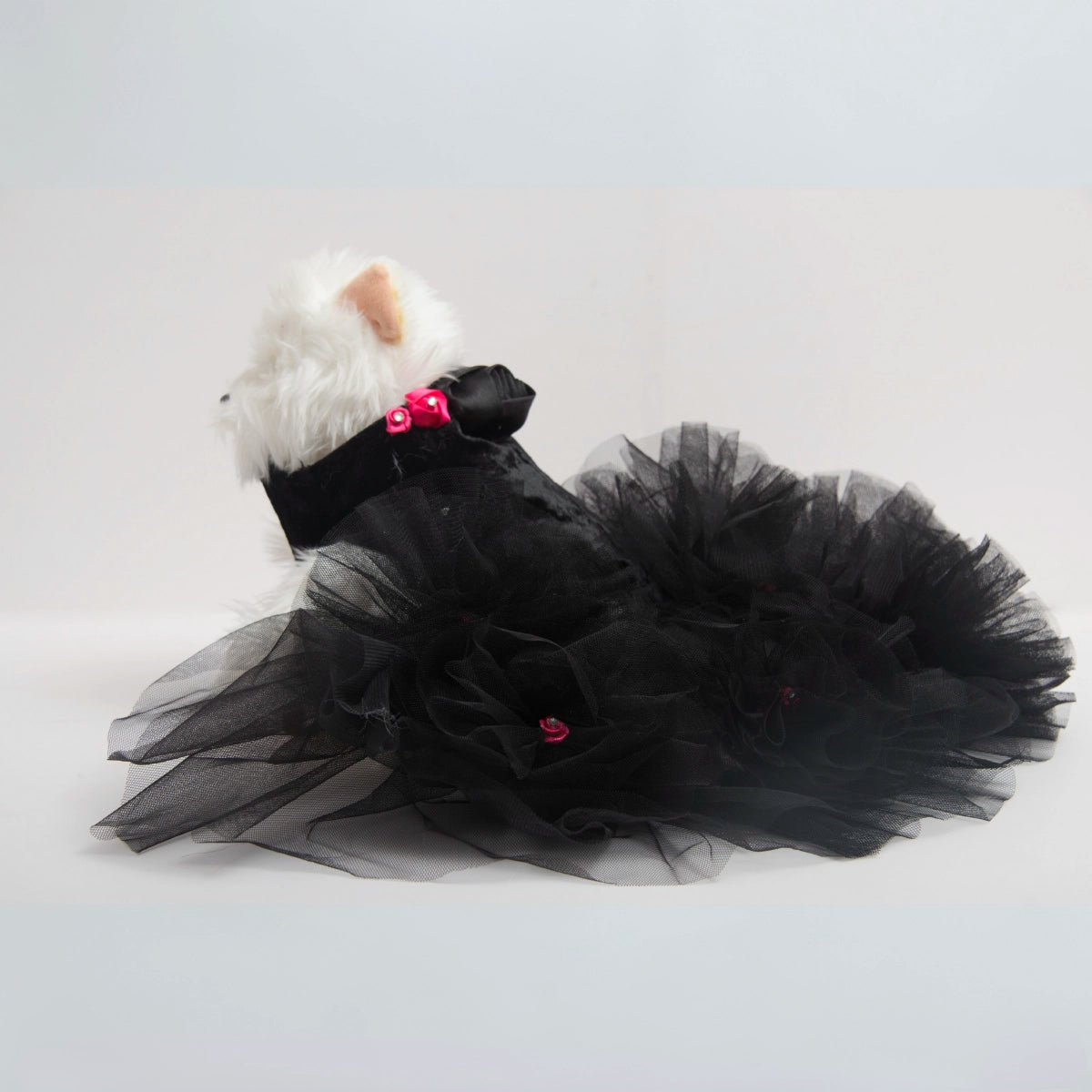 Black Swan(Dog)