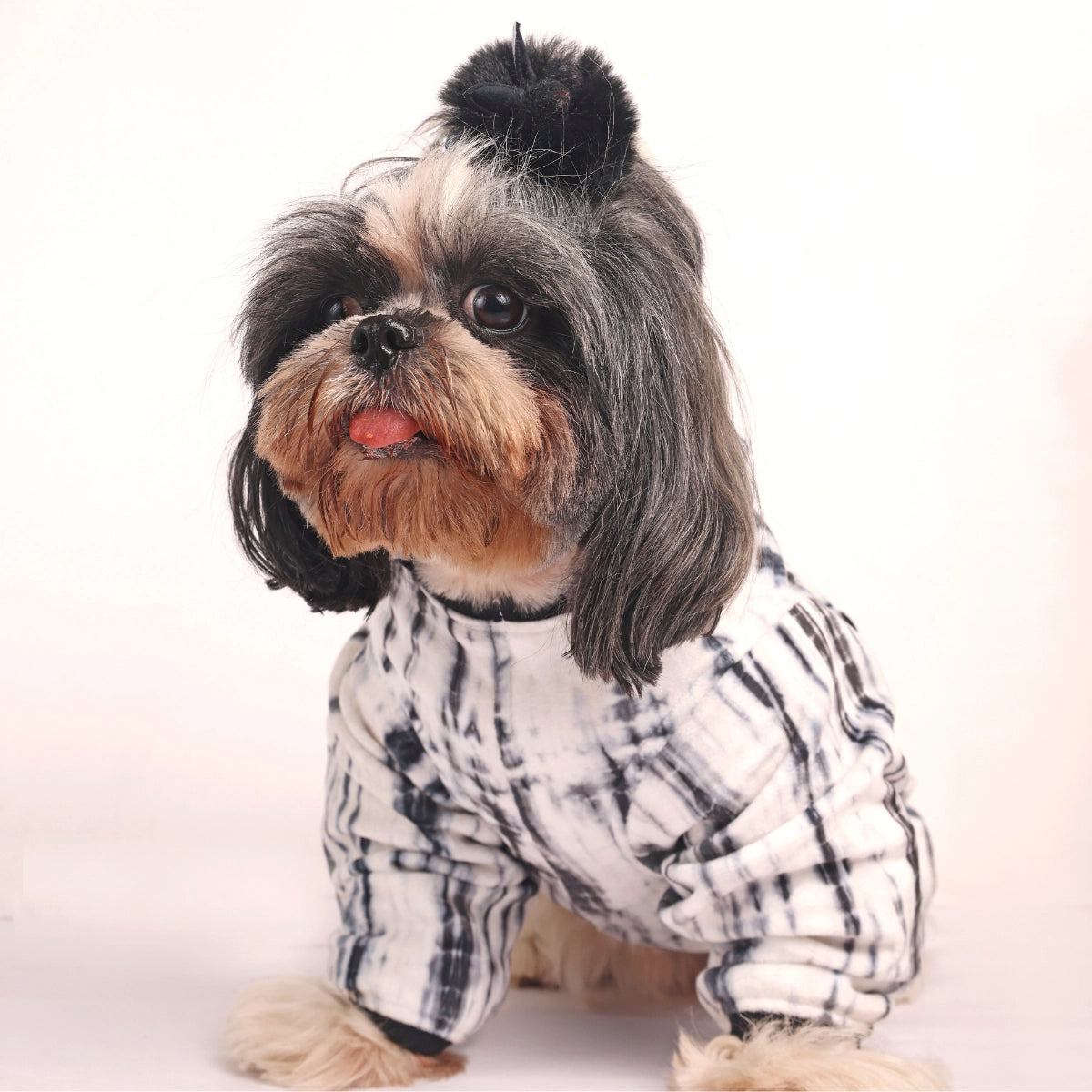 Black Tie N Dye(Dog)