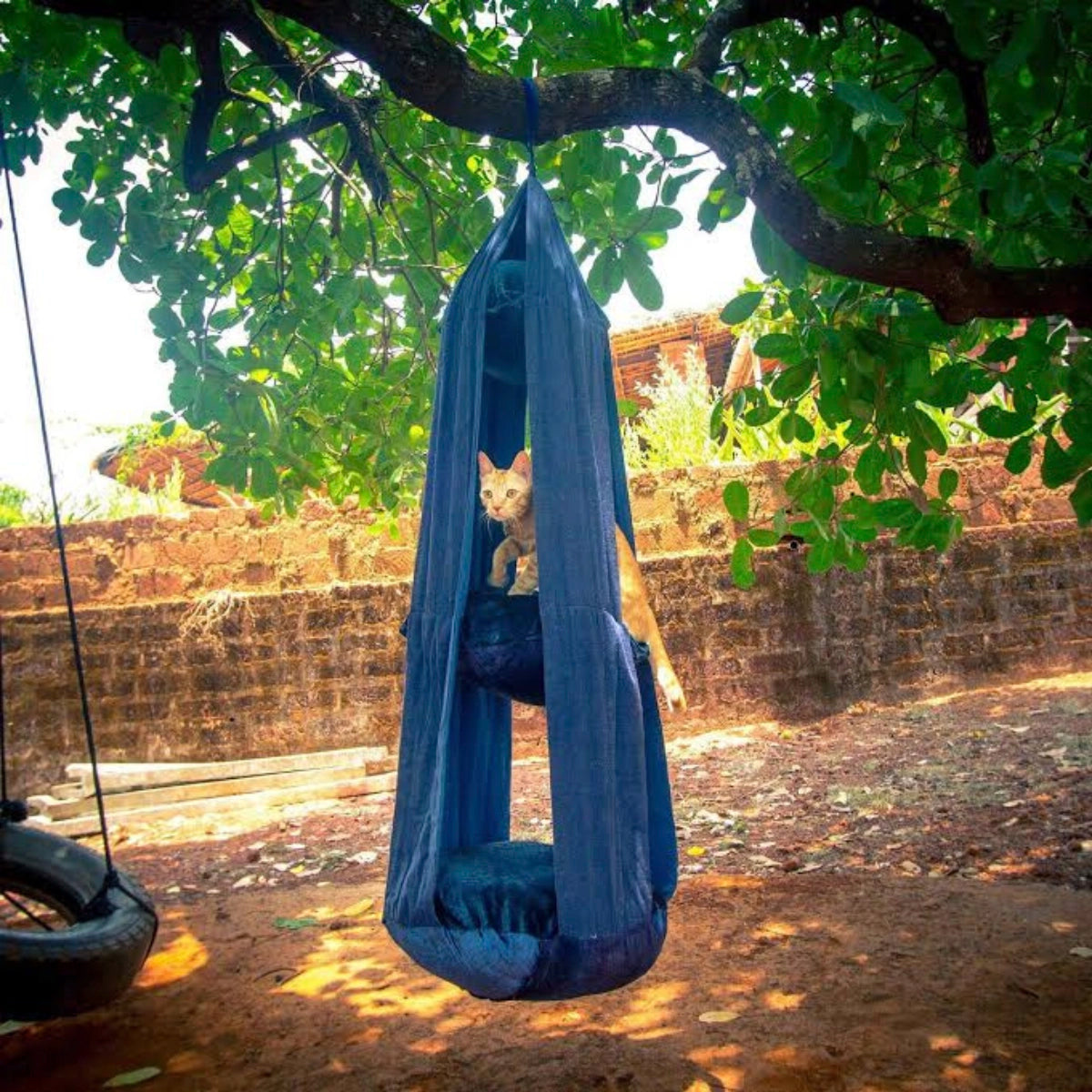 Blue Two Tier Glider(Cat)