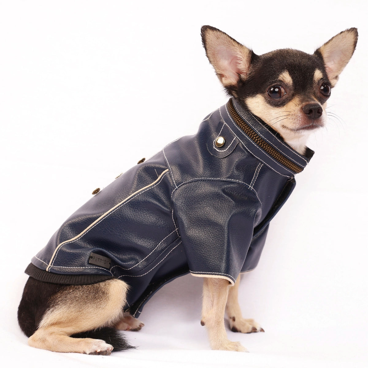 Blue Leather Jacket(Dog)
