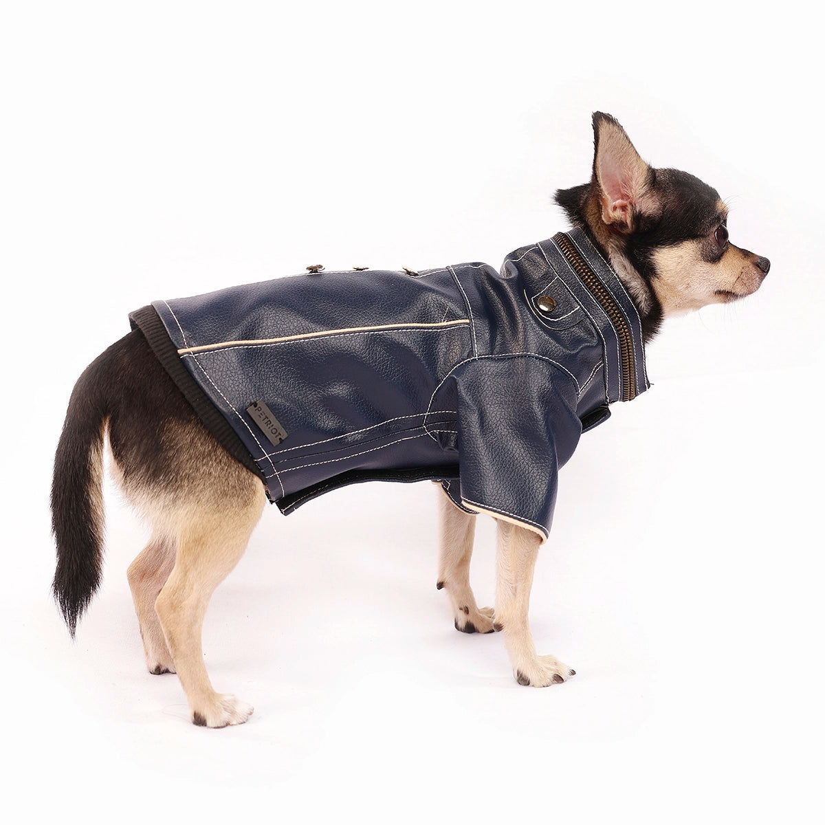 Blue Leather Jacket(Dog)